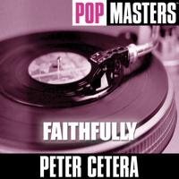 Постер альбома Pop Masters: Faithfully