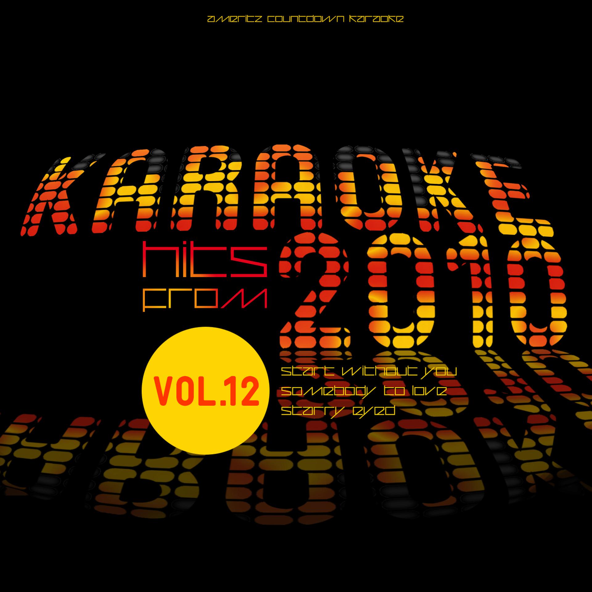 Постер альбома Karaoke Hits from 2010, Vol. 12