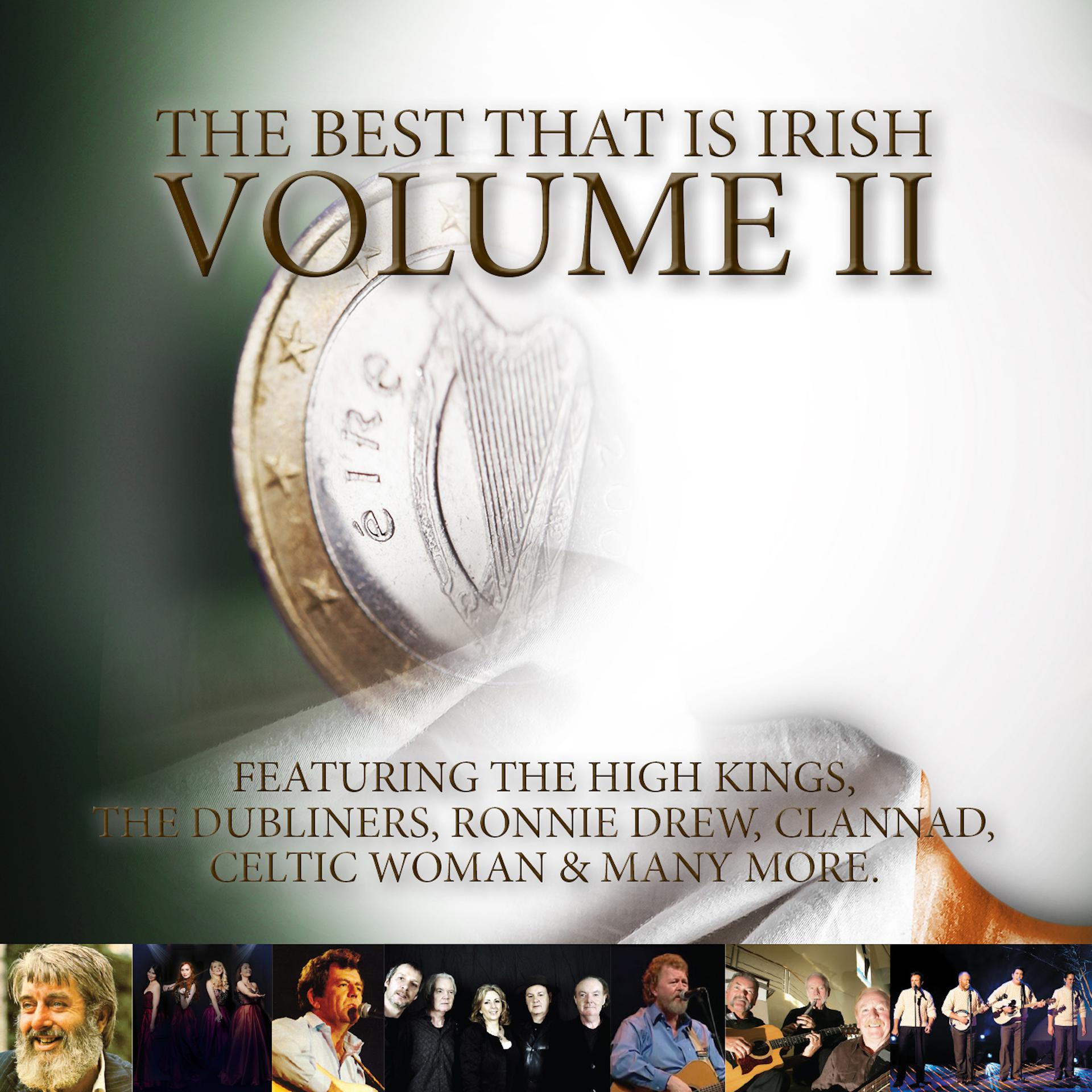 Постер альбома The Best That Is Irish Volume II