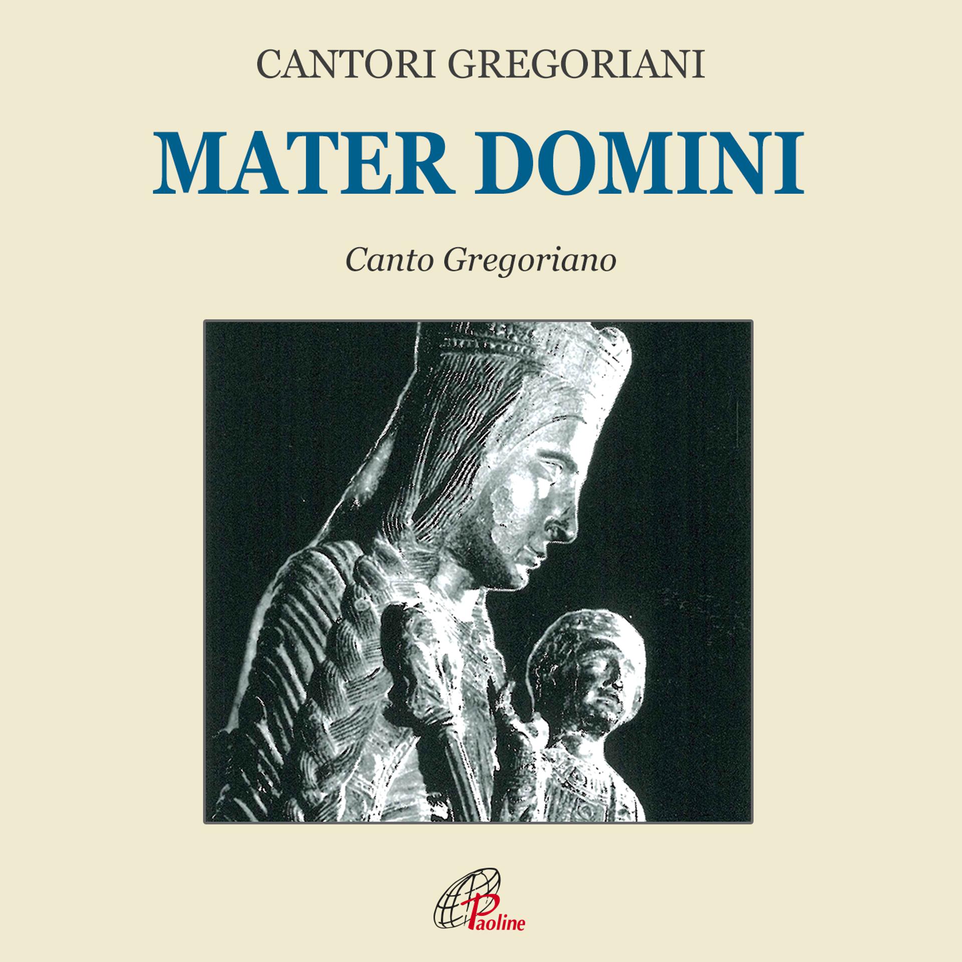 Постер альбома Mater domini