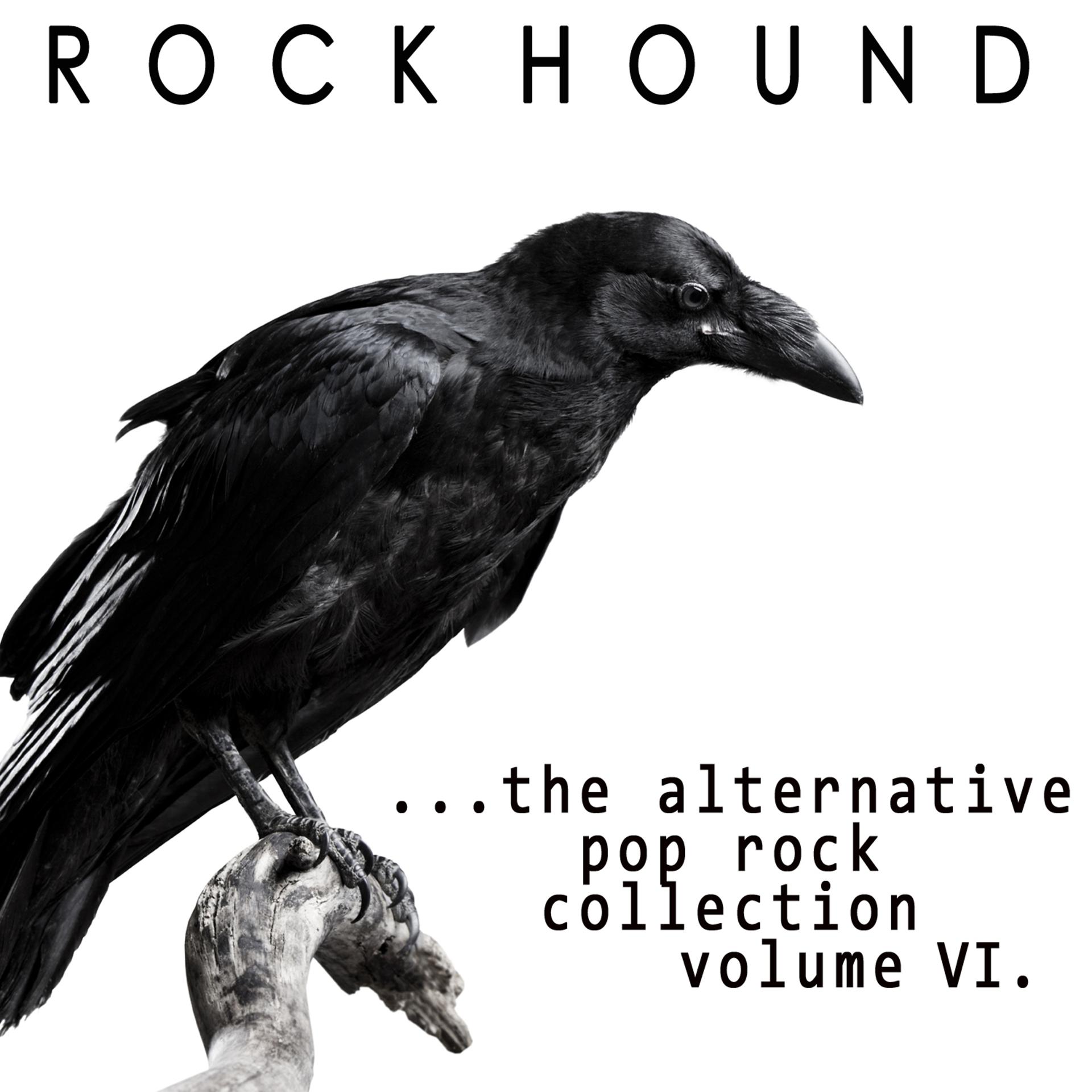 Постер альбома Rock Hound: Alternative Pop Rock, Vol. 6