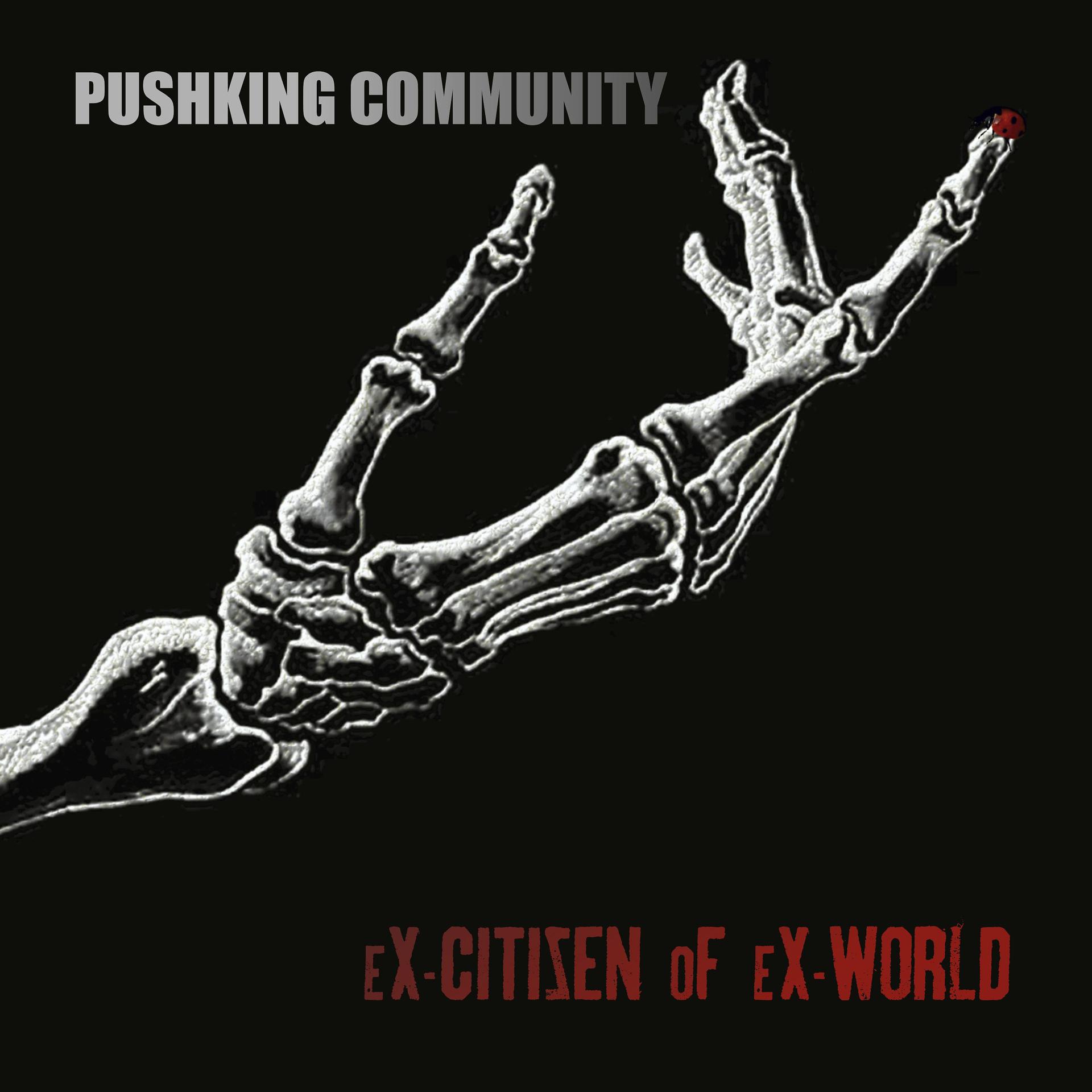 Постер альбома Ex-Citizen of Ex-World