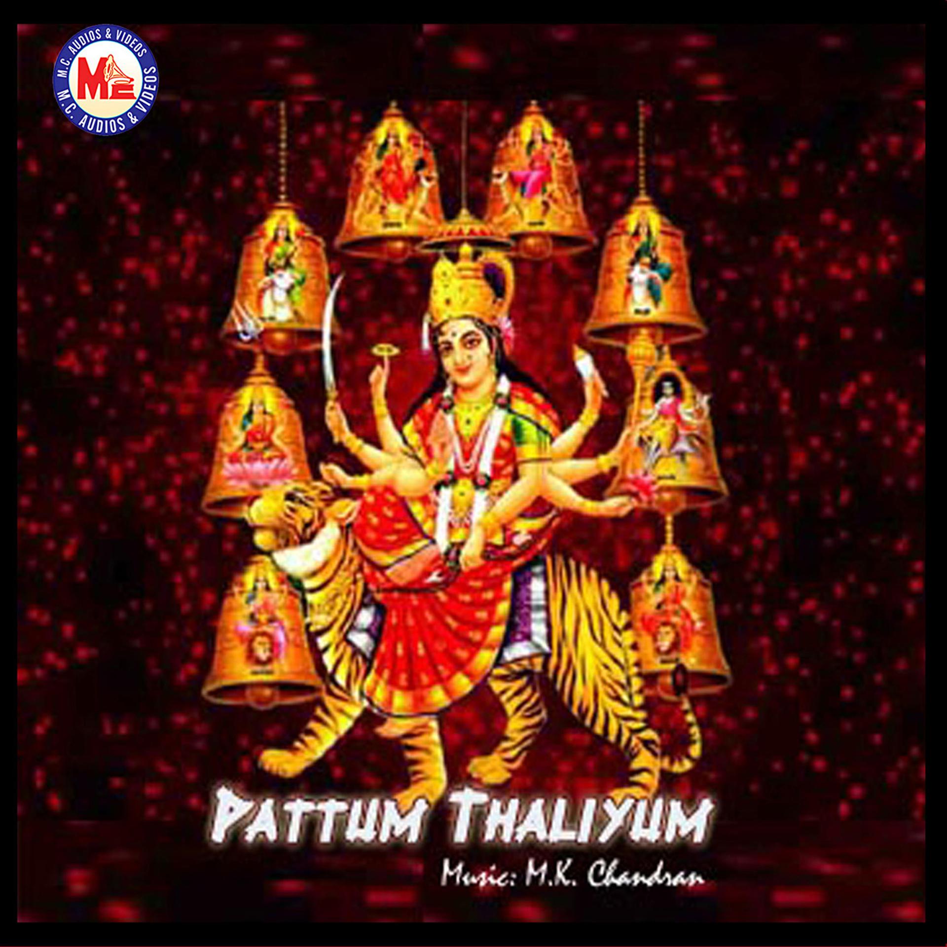 Постер альбома Pattum Thaliyum