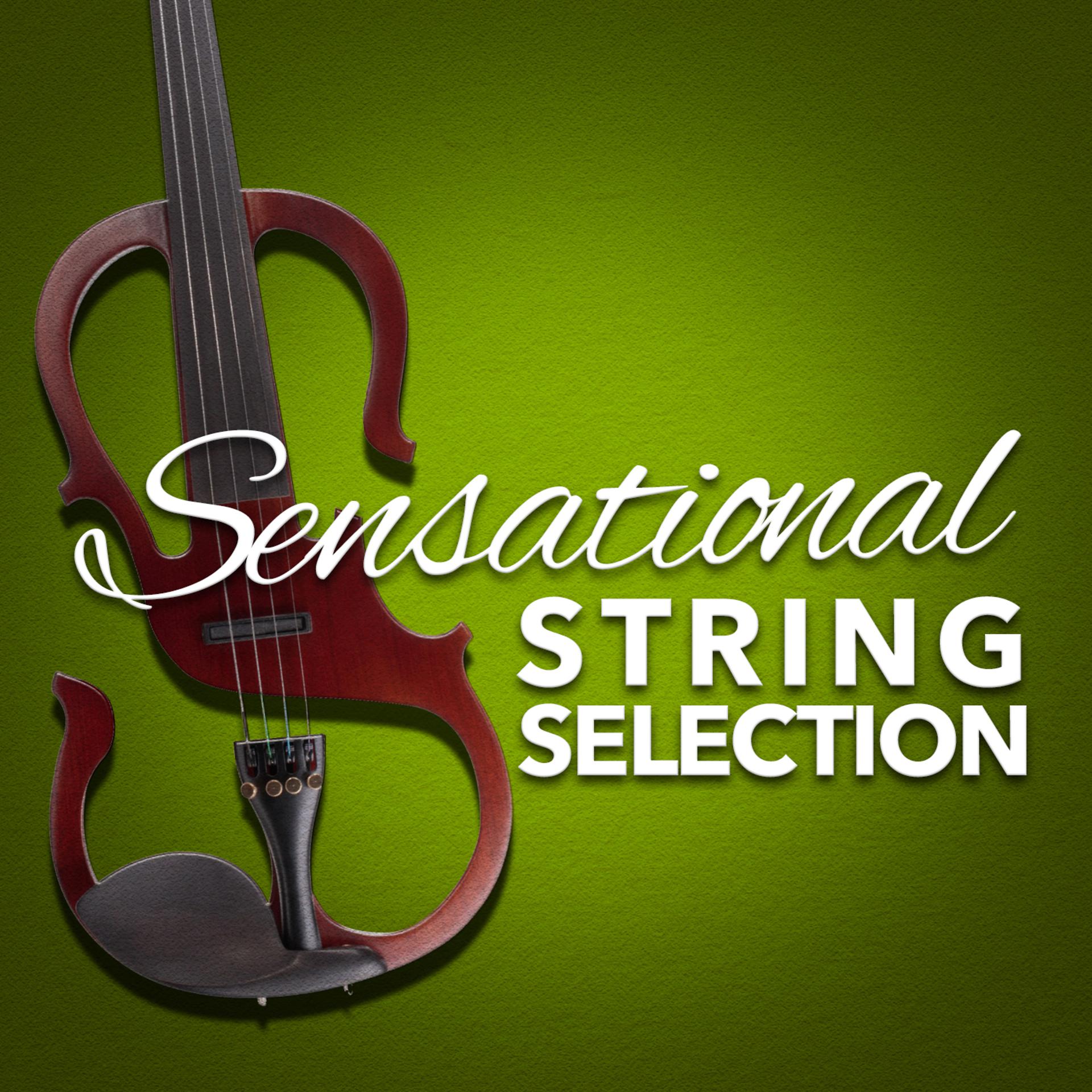 Постер альбома Sensational String Selection