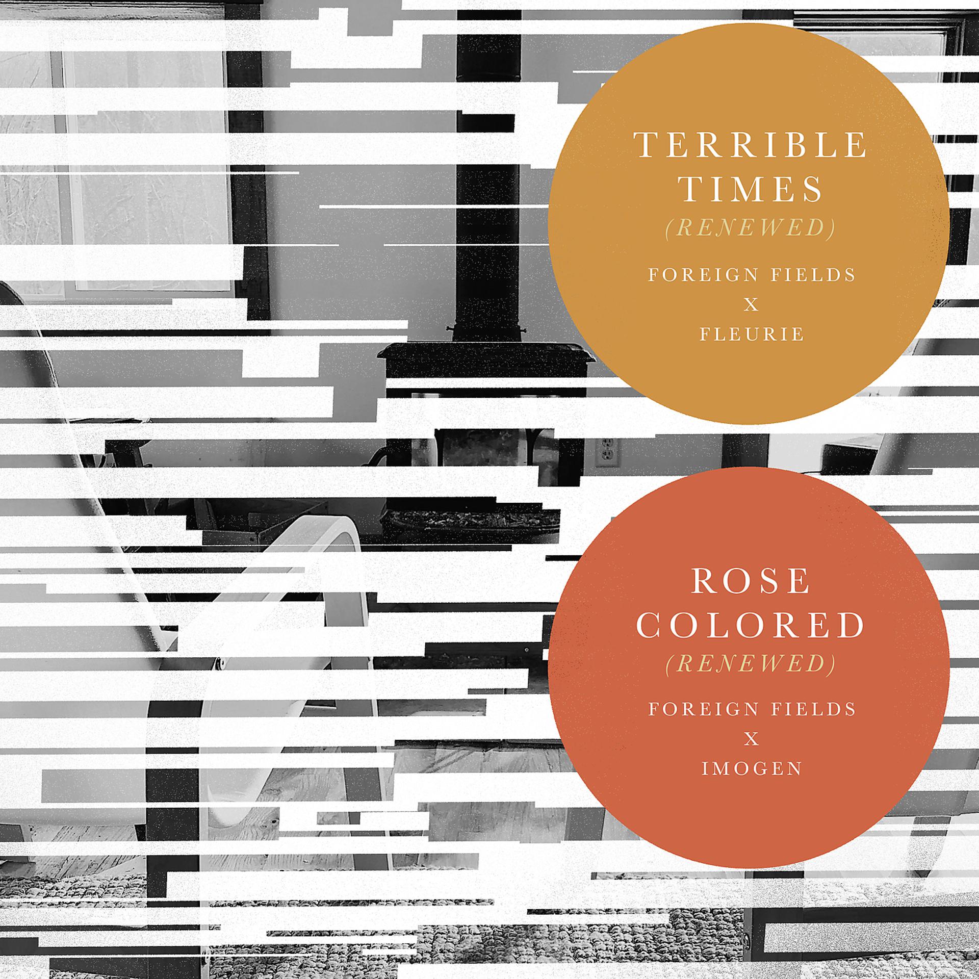 Постер альбома Terrible Times (Renewed) / Rose Colored (Renewed)