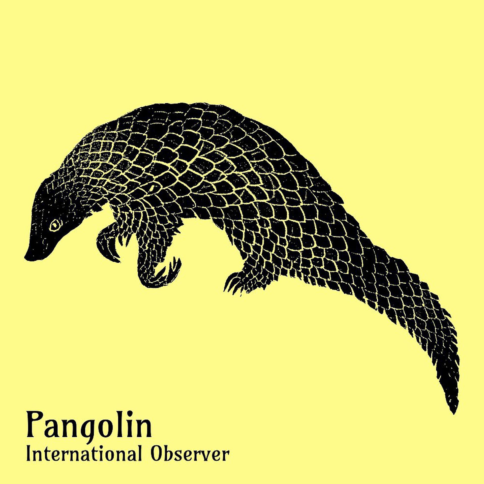 Постер альбома Pangolin