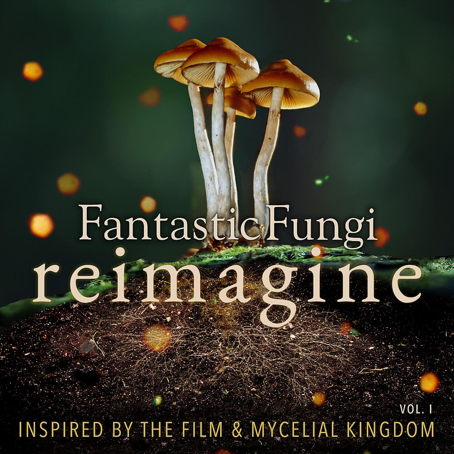 Постер альбома Fantastic Fungi: Reimagine, Vol. I