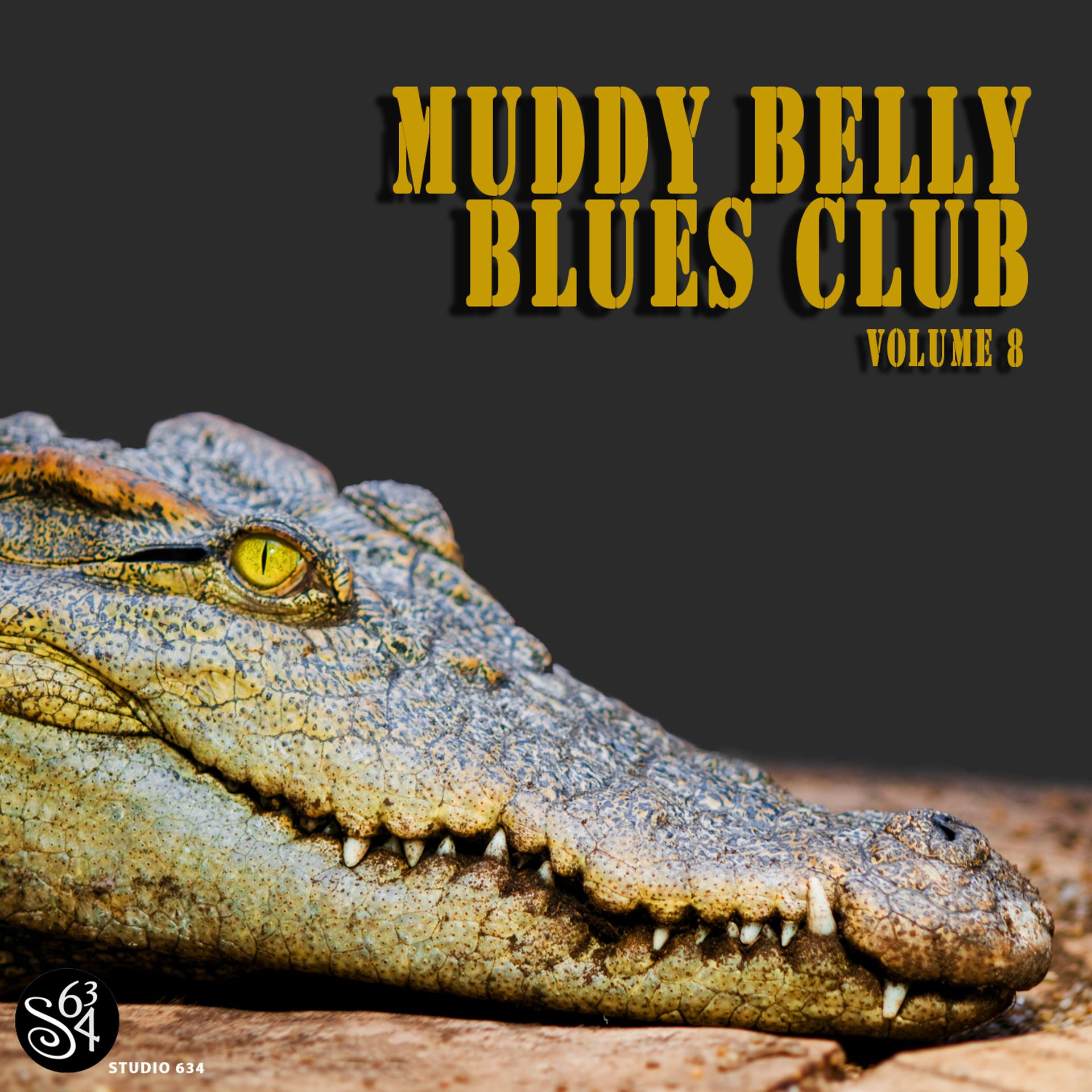 Постер альбома Muddy Belly Blues Club, Vol. 8