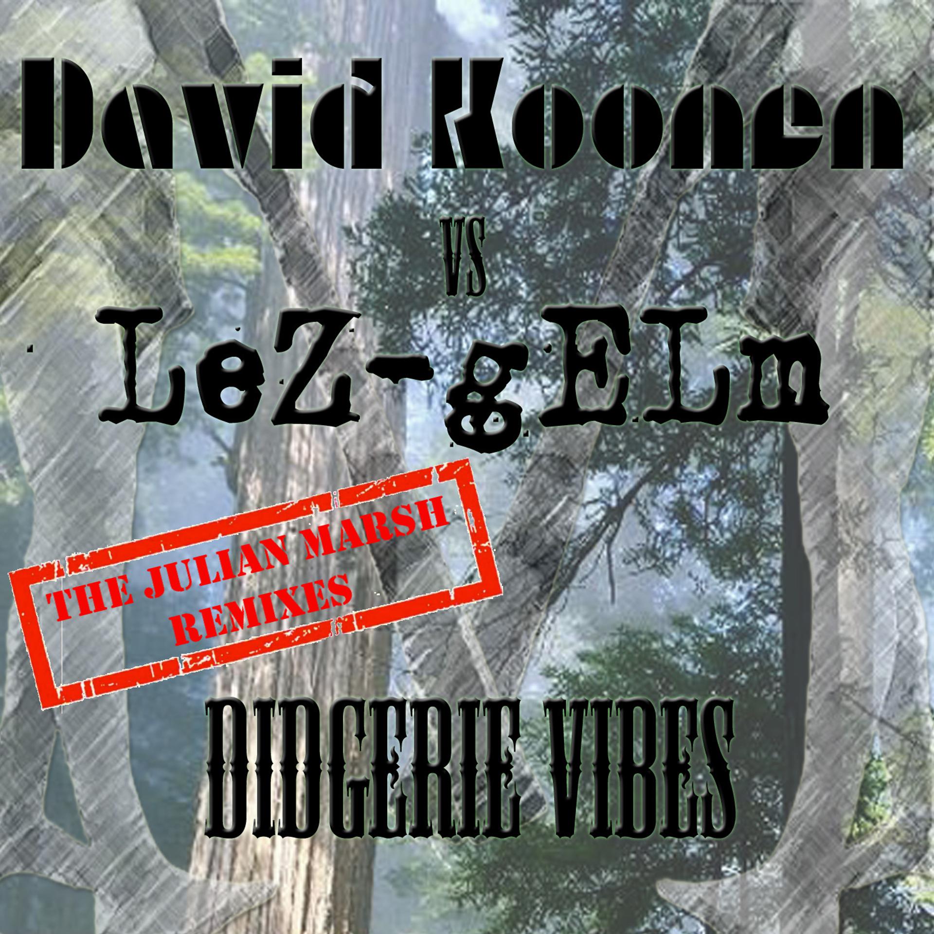 Постер альбома Didgerie Vibes (The Julian Marsh Remixes)