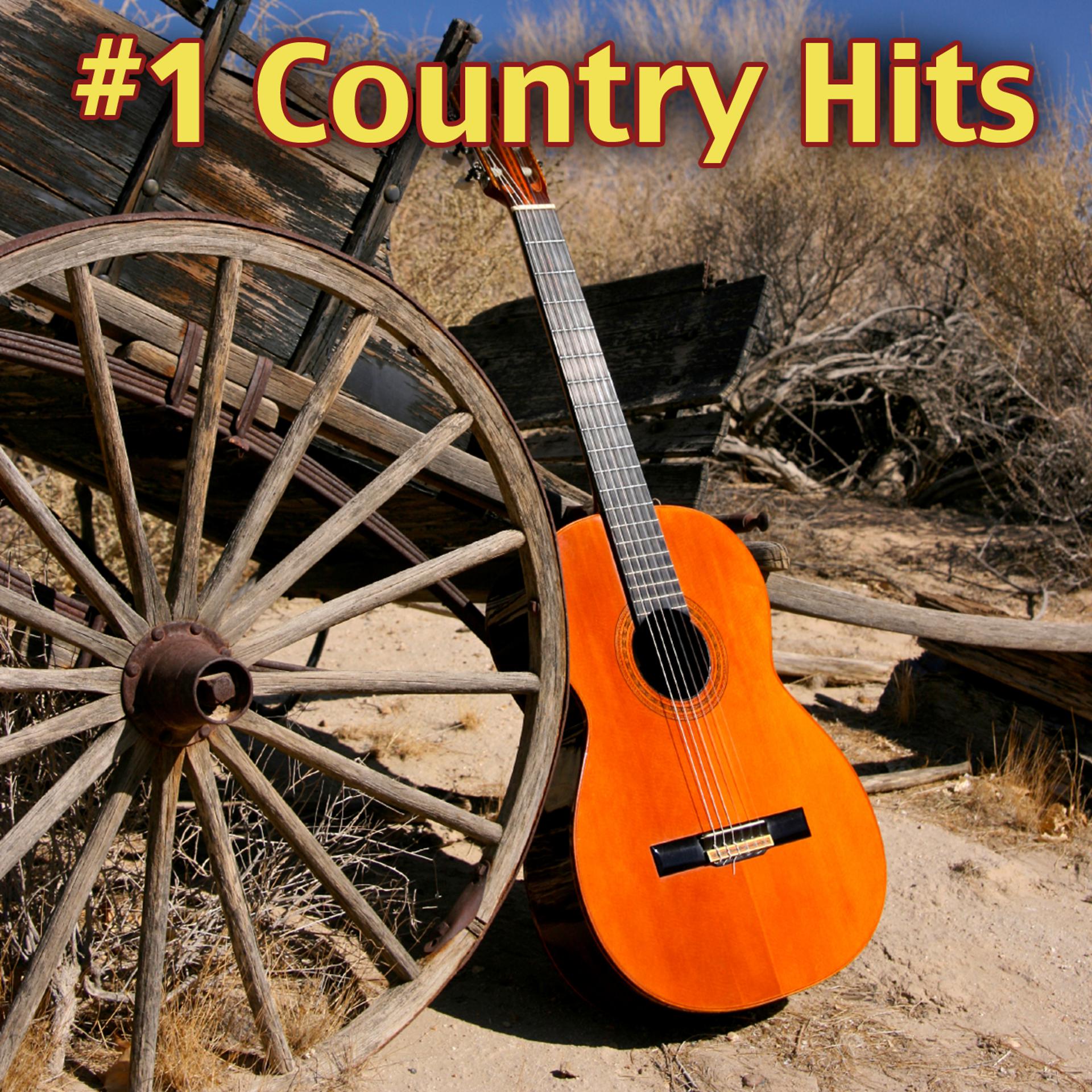 Постер альбома #1 Country Hits