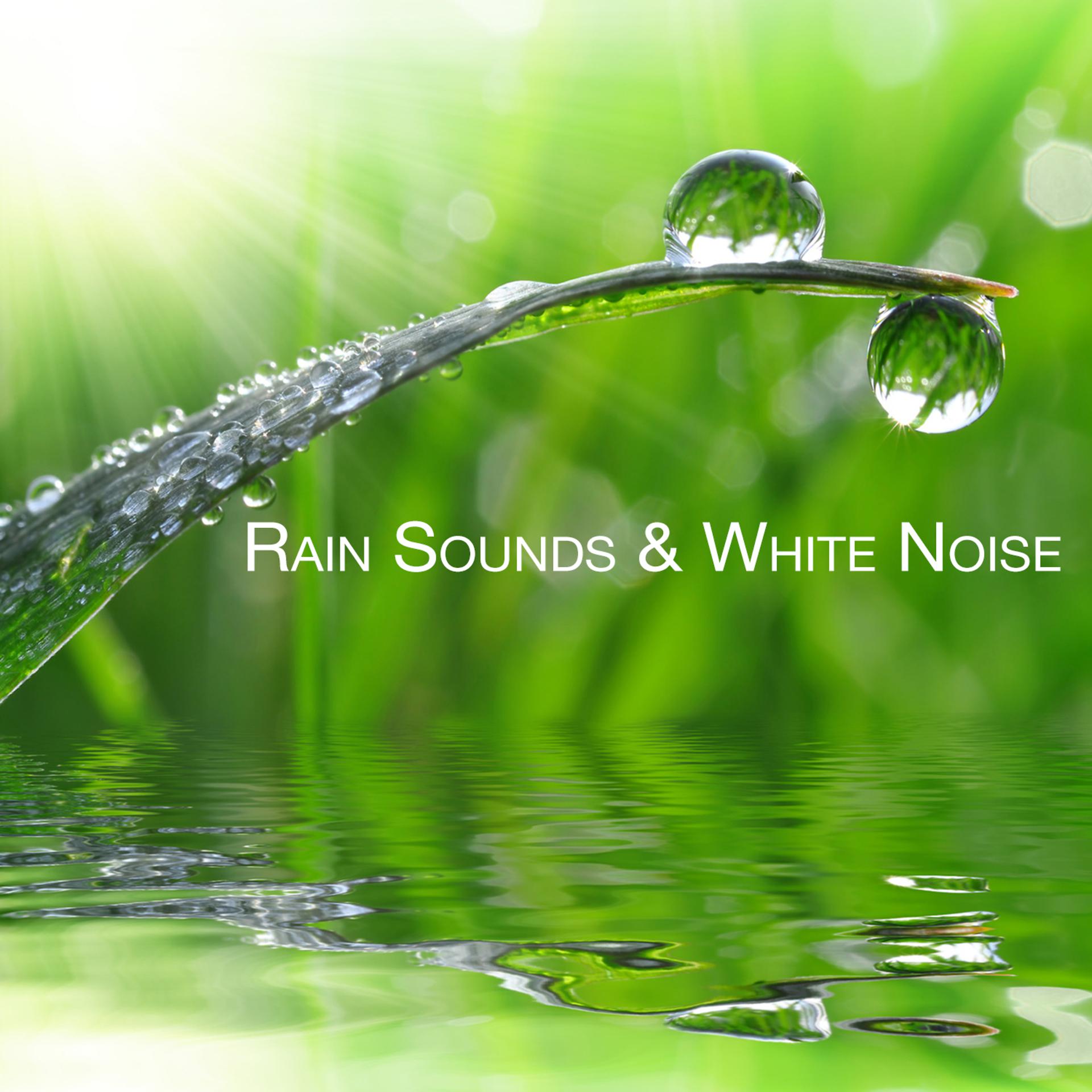 Постер альбома Rain Sounds & White Noise