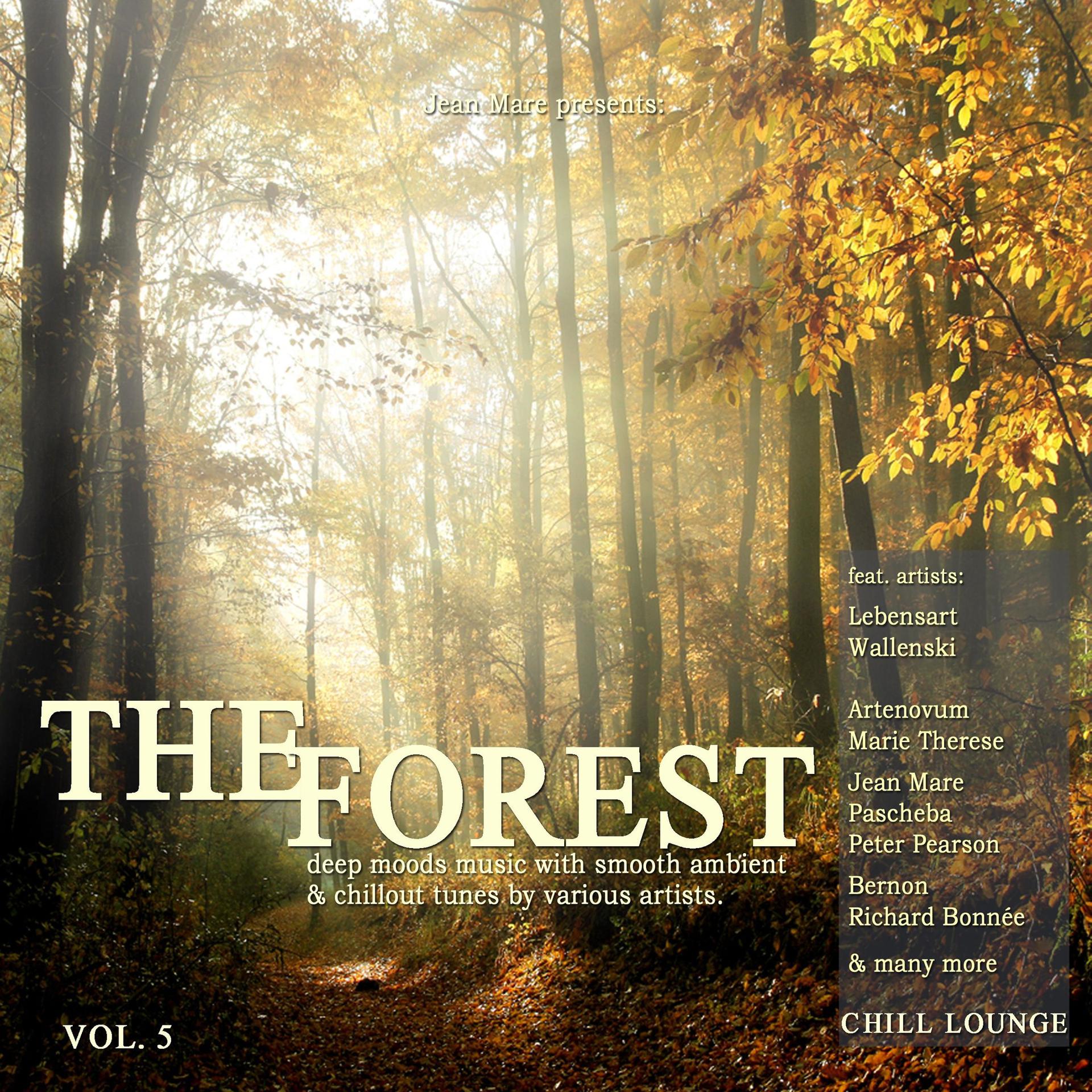 Постер альбома The Forest Chill Lounge, Vol. 5 (Deep Moods Music with Smooth Ambient & Chillout Tunes)