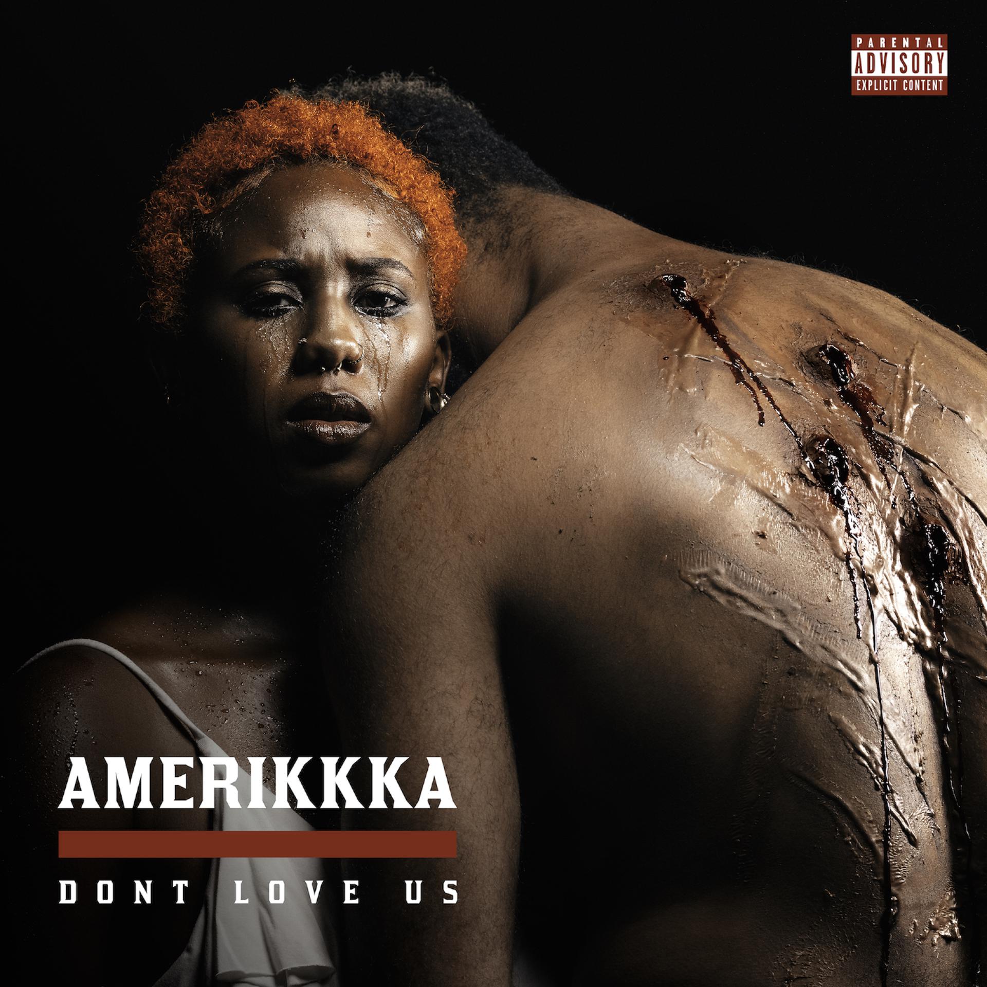 Постер альбома Amerikkka Dont Love Us
