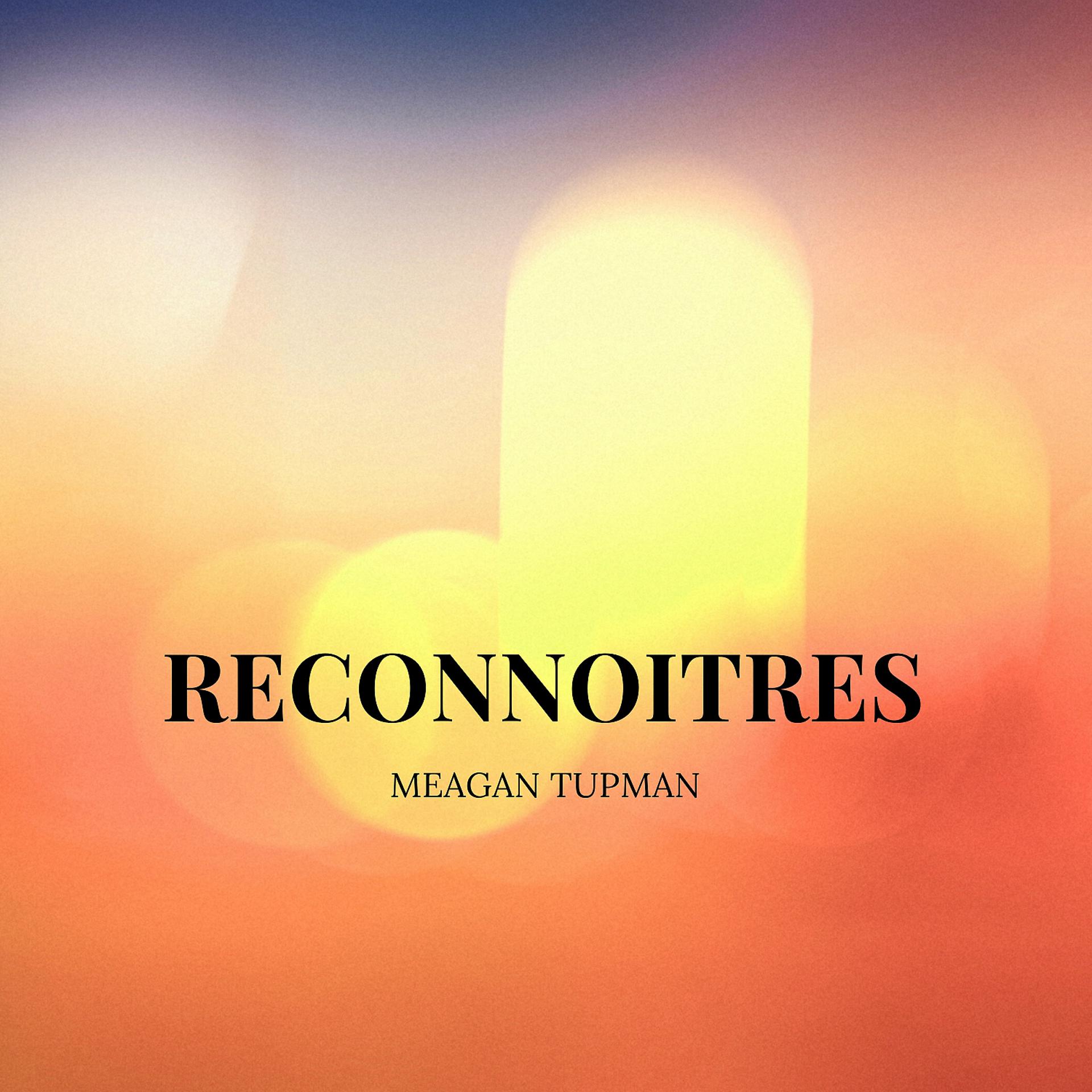 Постер альбома Reconnoitres