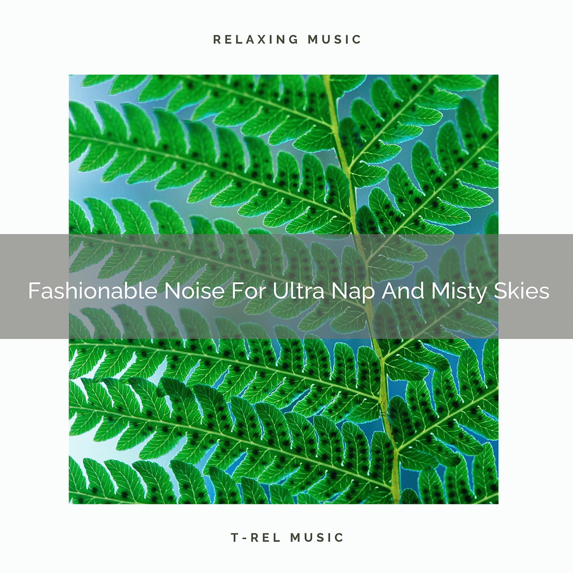 Постер альбома Fashionable Noise For Ultra Nap And Misty Skies