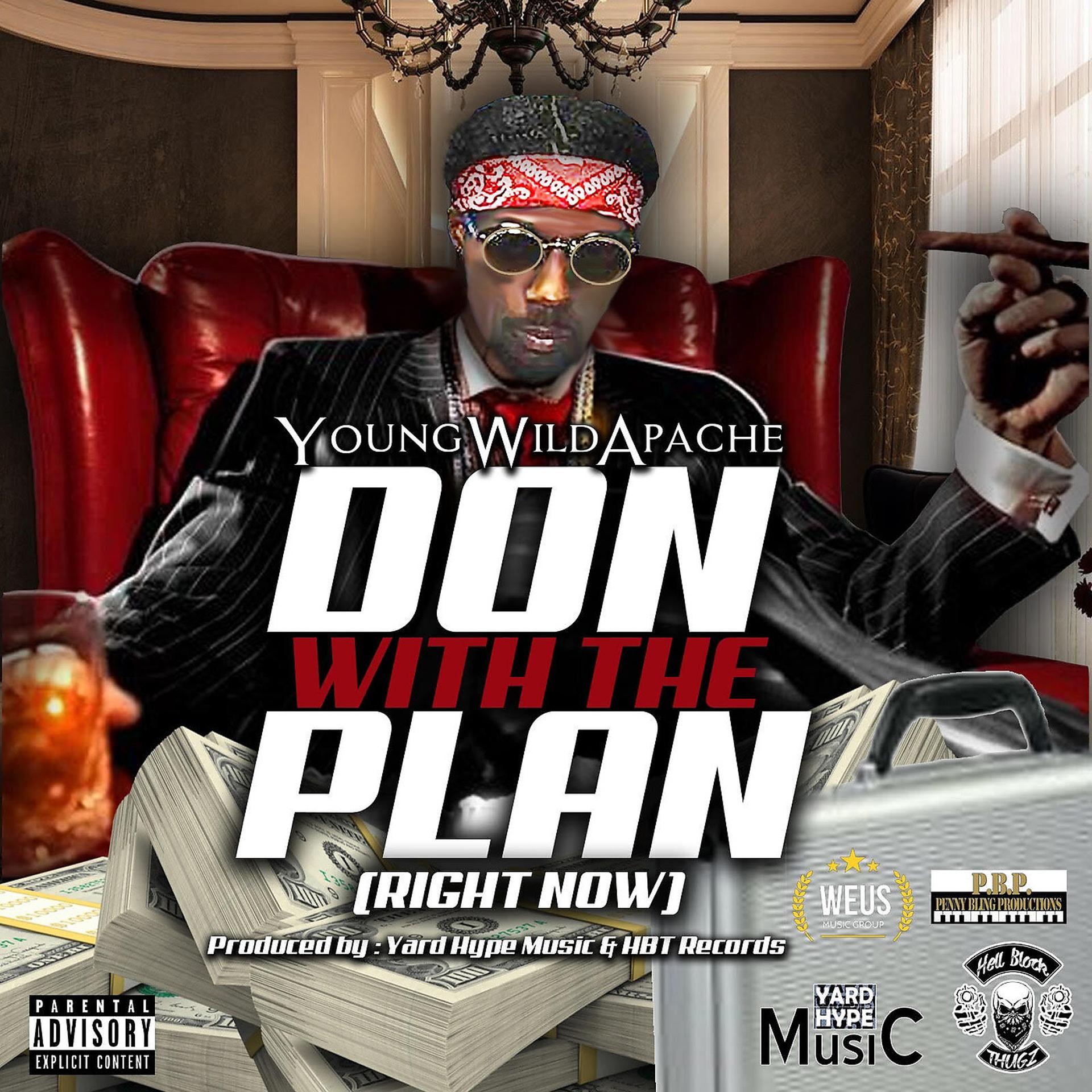 Постер альбома Don With the Plan ( Right Now )