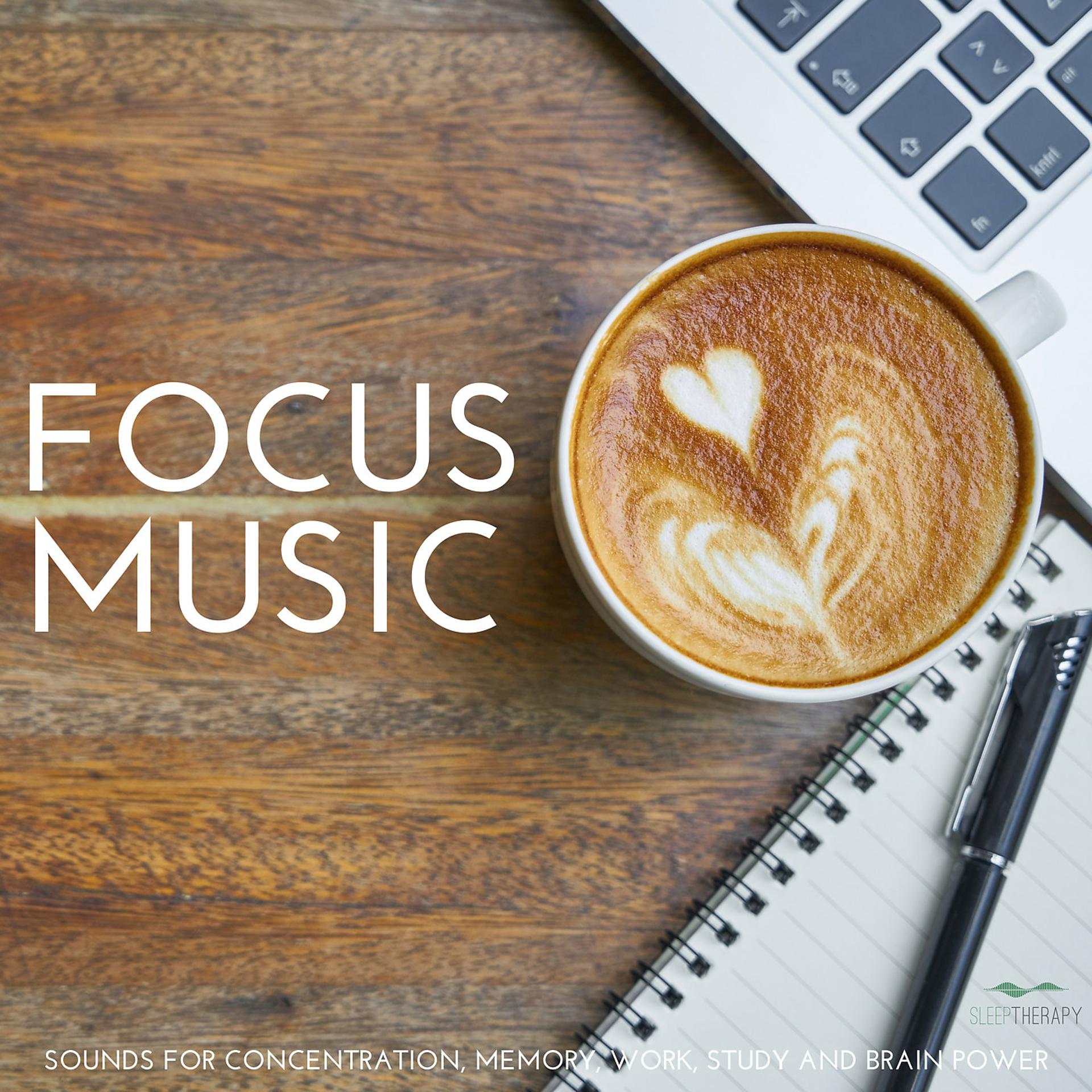 Постер альбома Focus Music: Sounds for Concentration, Memory, Work, Study and Brain Power
