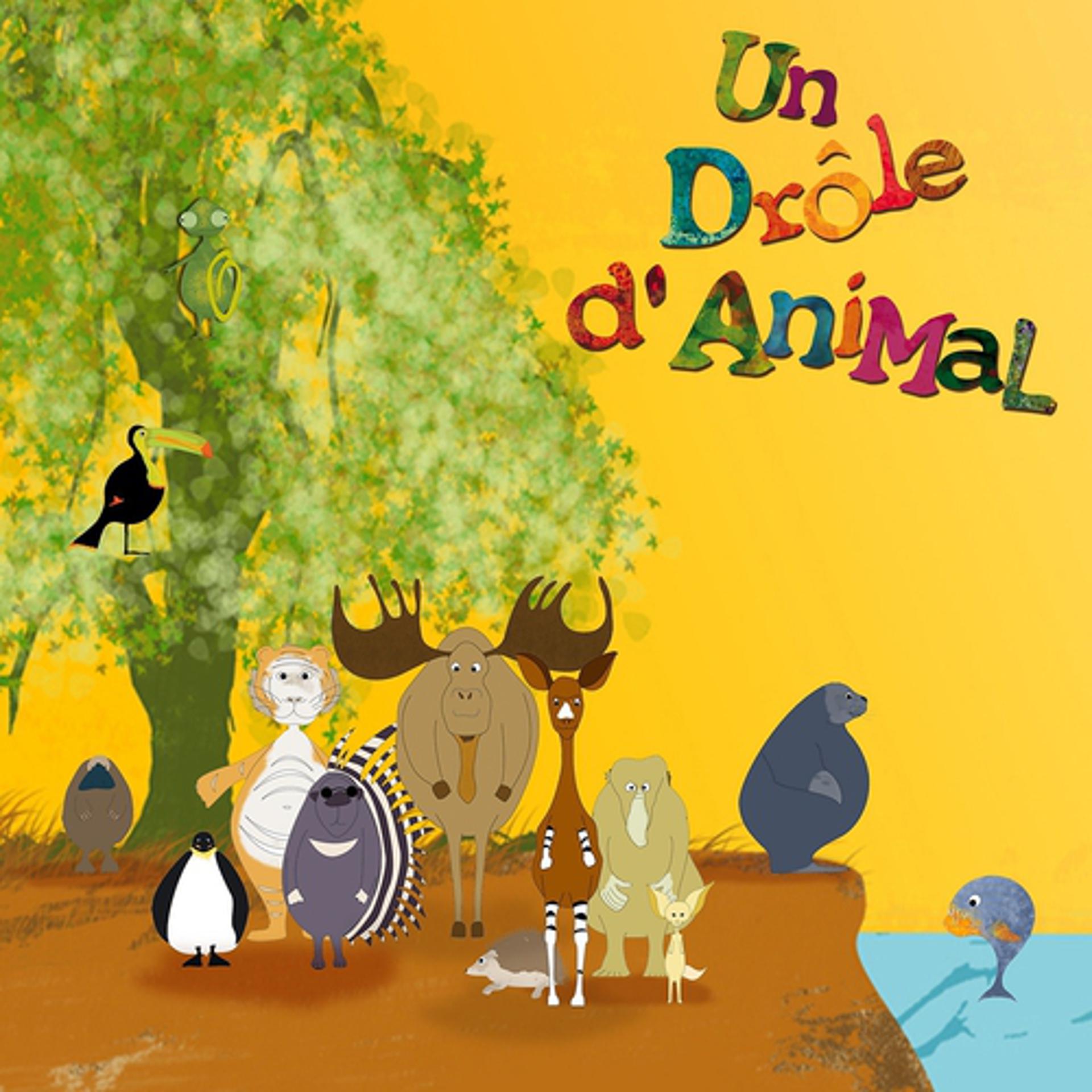 Постер альбома Un drôle d'animal