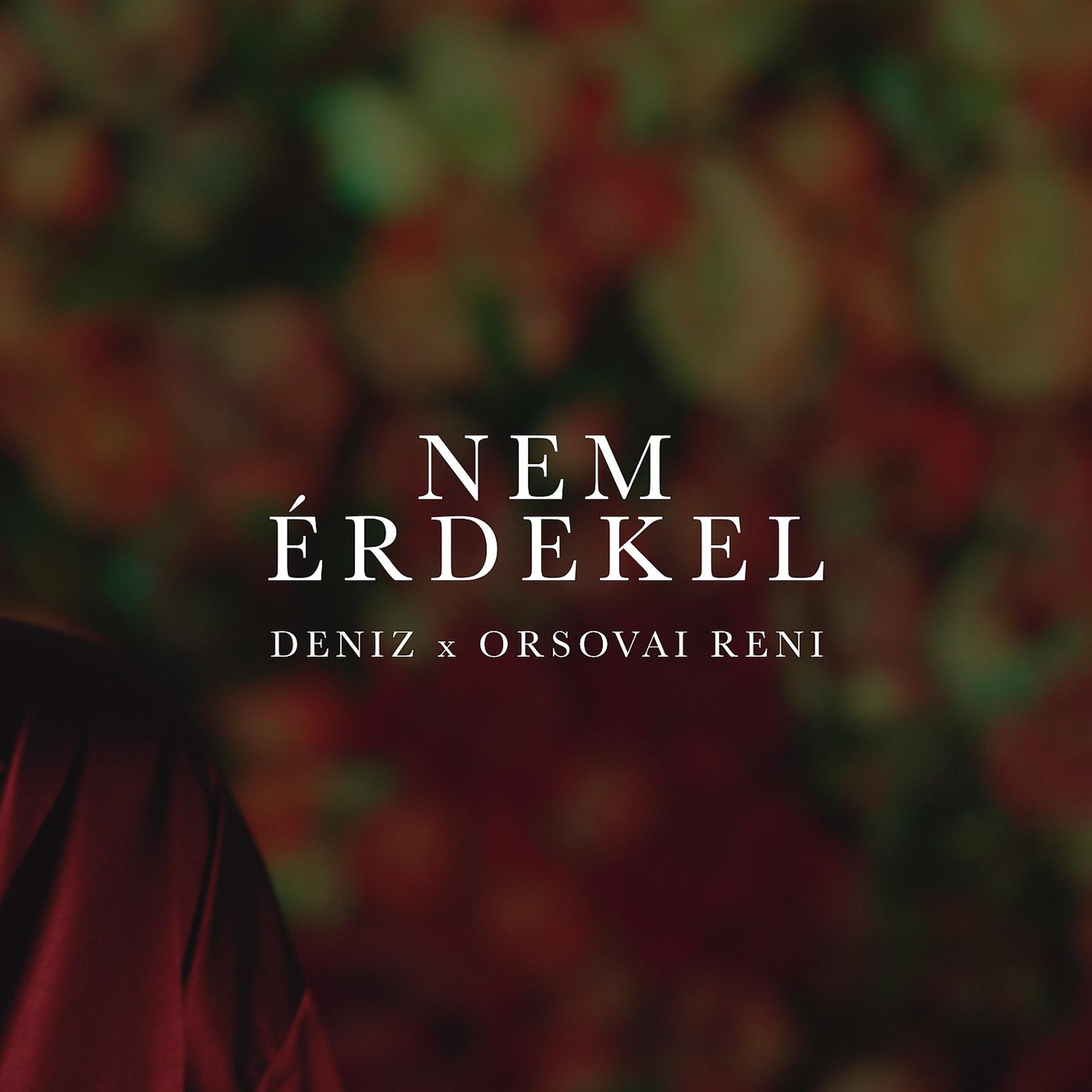 Постер альбома Nem Érdekel