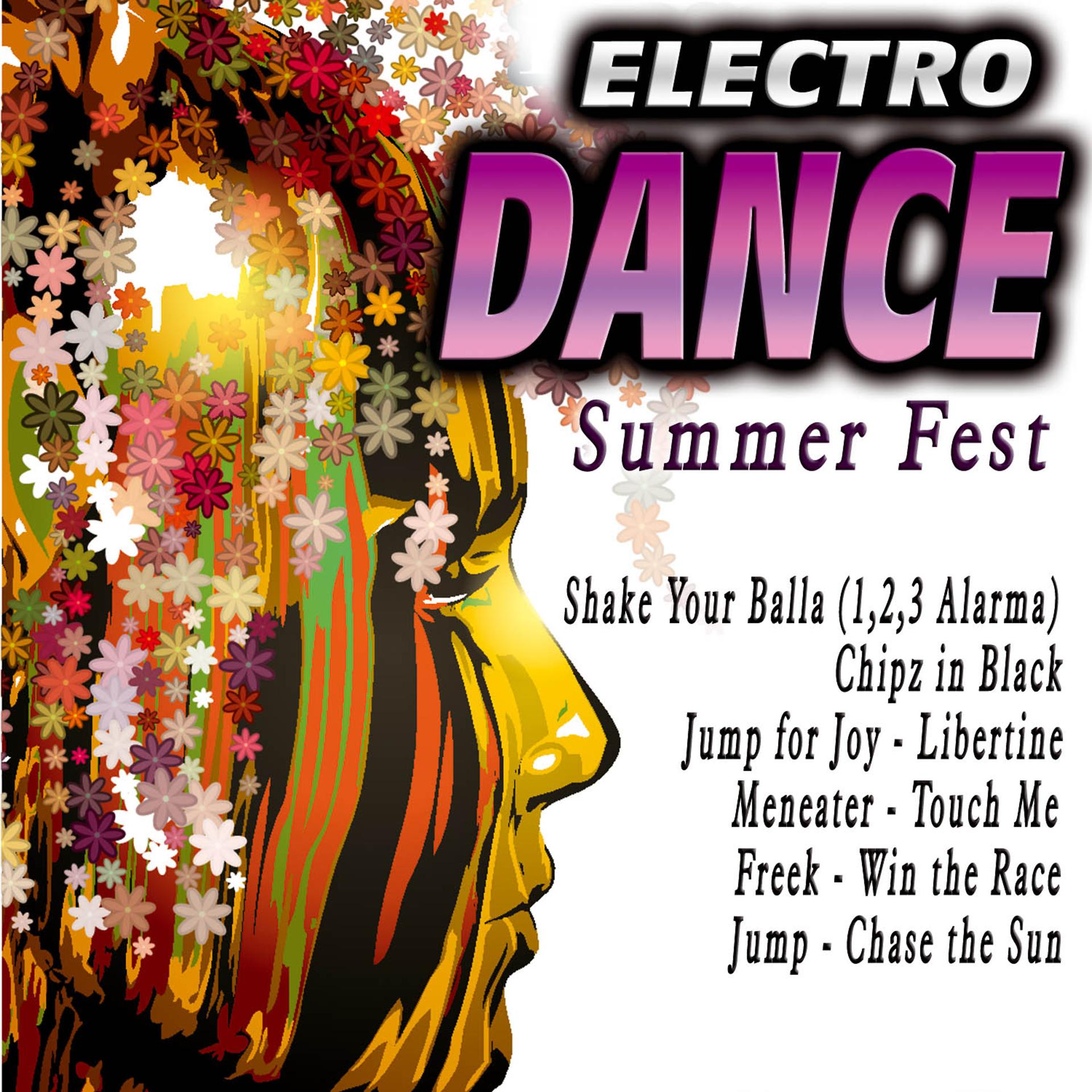 Постер альбома Electro Dance-Summer Fest