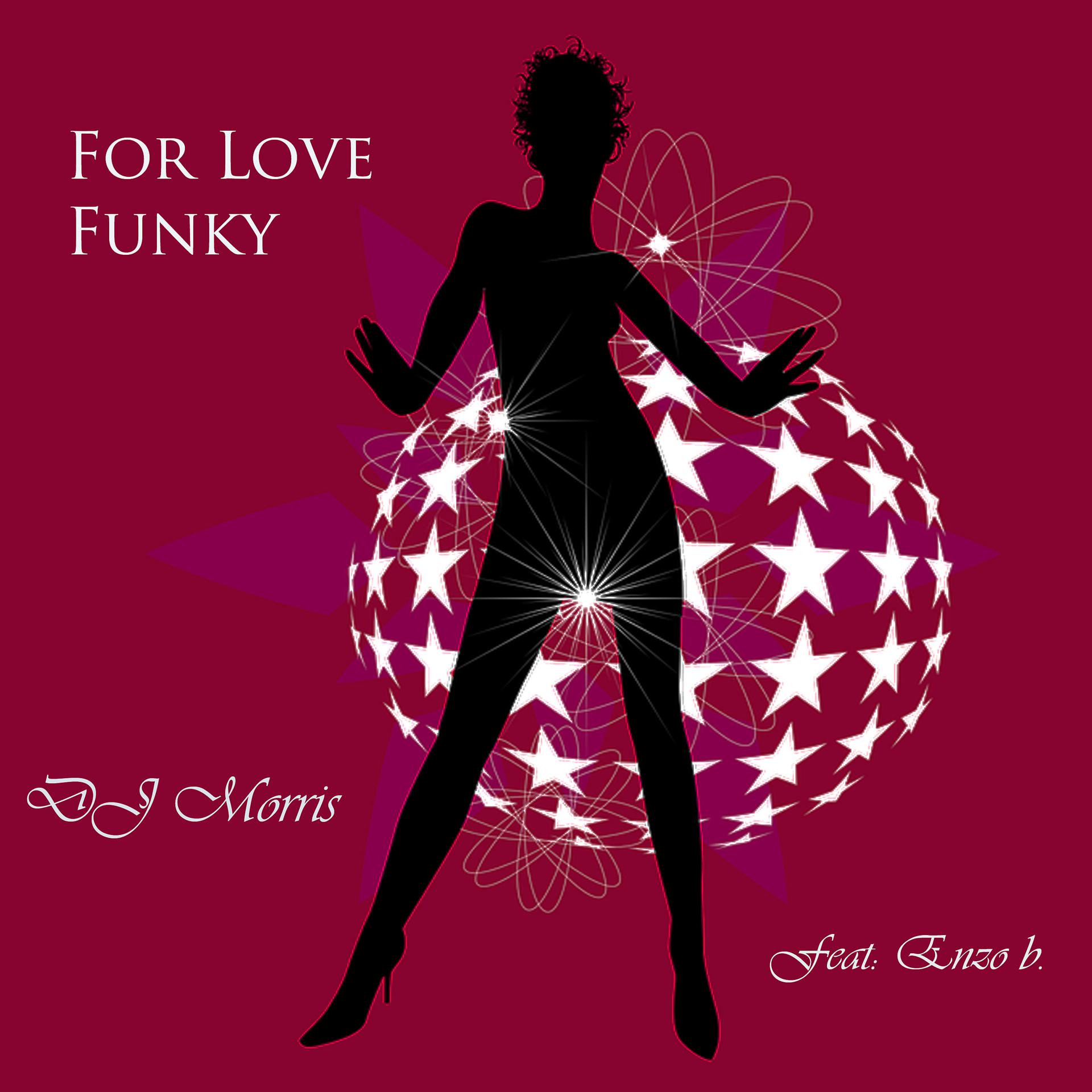Постер альбома For Love Funky (Original)