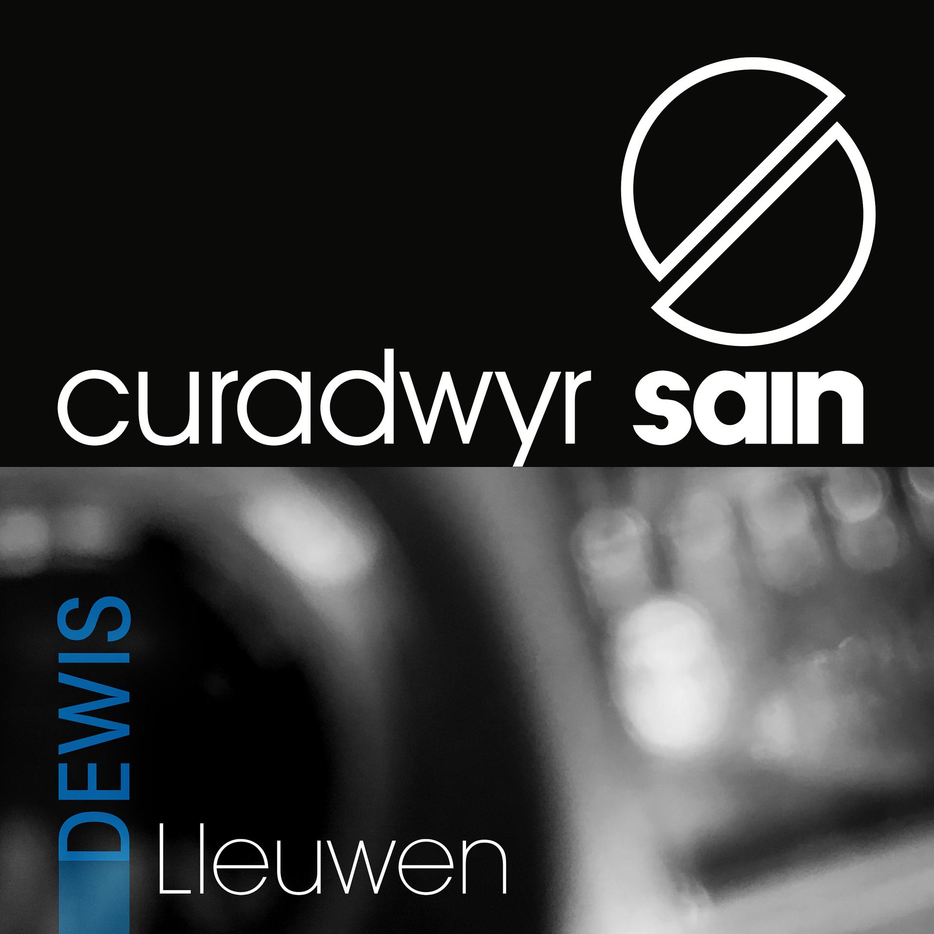 Постер альбома Curadwyr Sain - Dewis Lleuwen