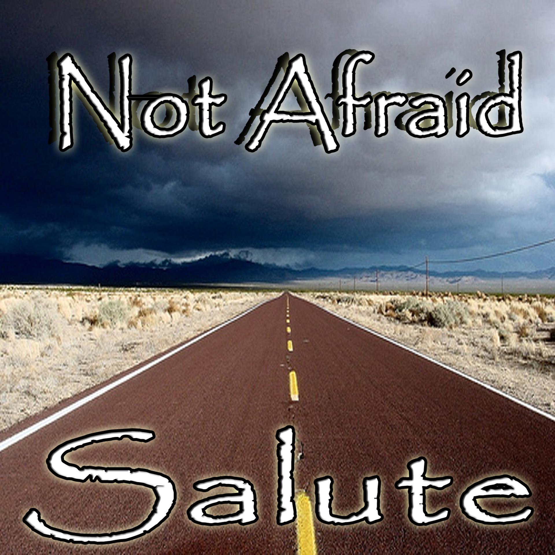 Постер альбома Not Afraid (Eminem Salute)