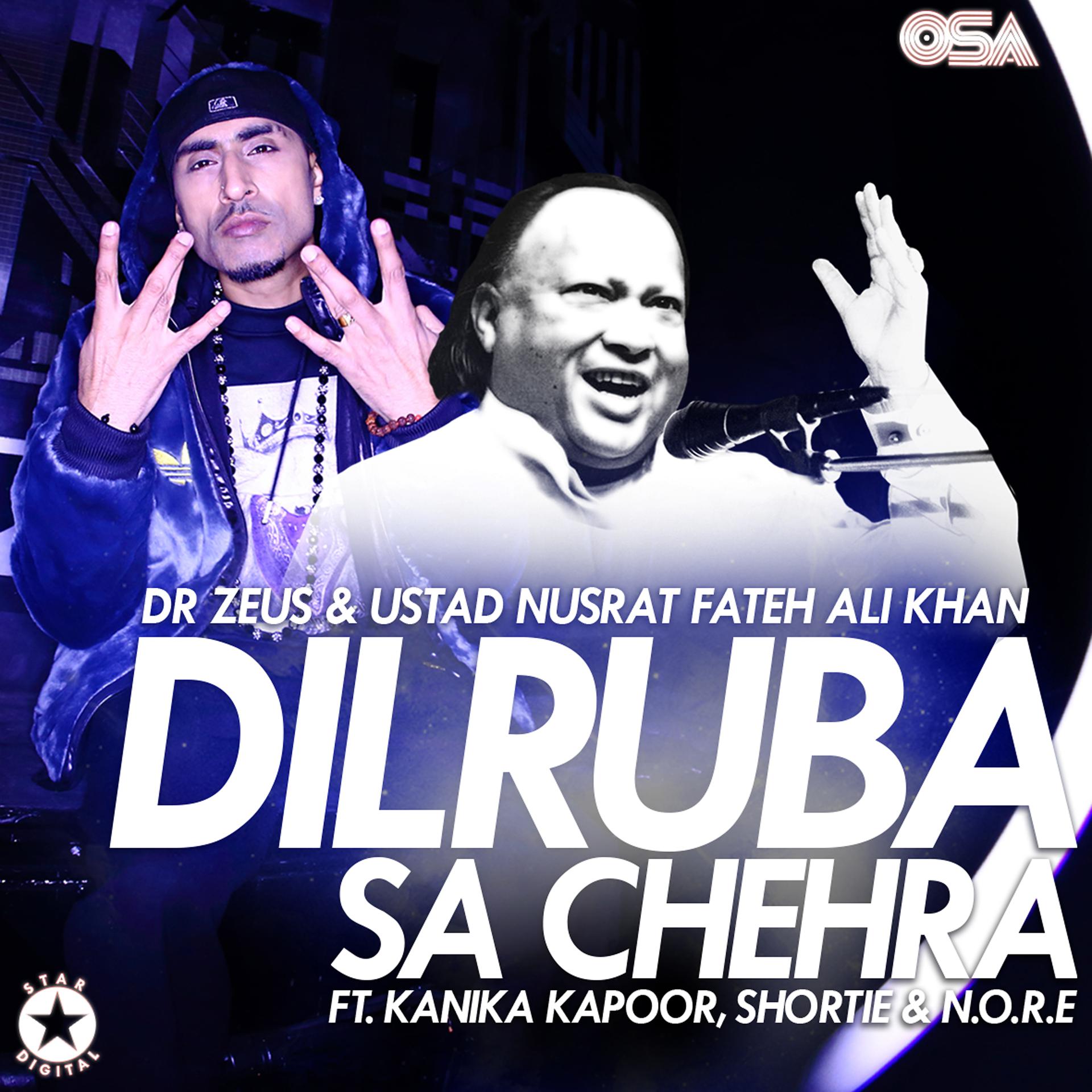 Постер альбома Dilruba Sa Chehra