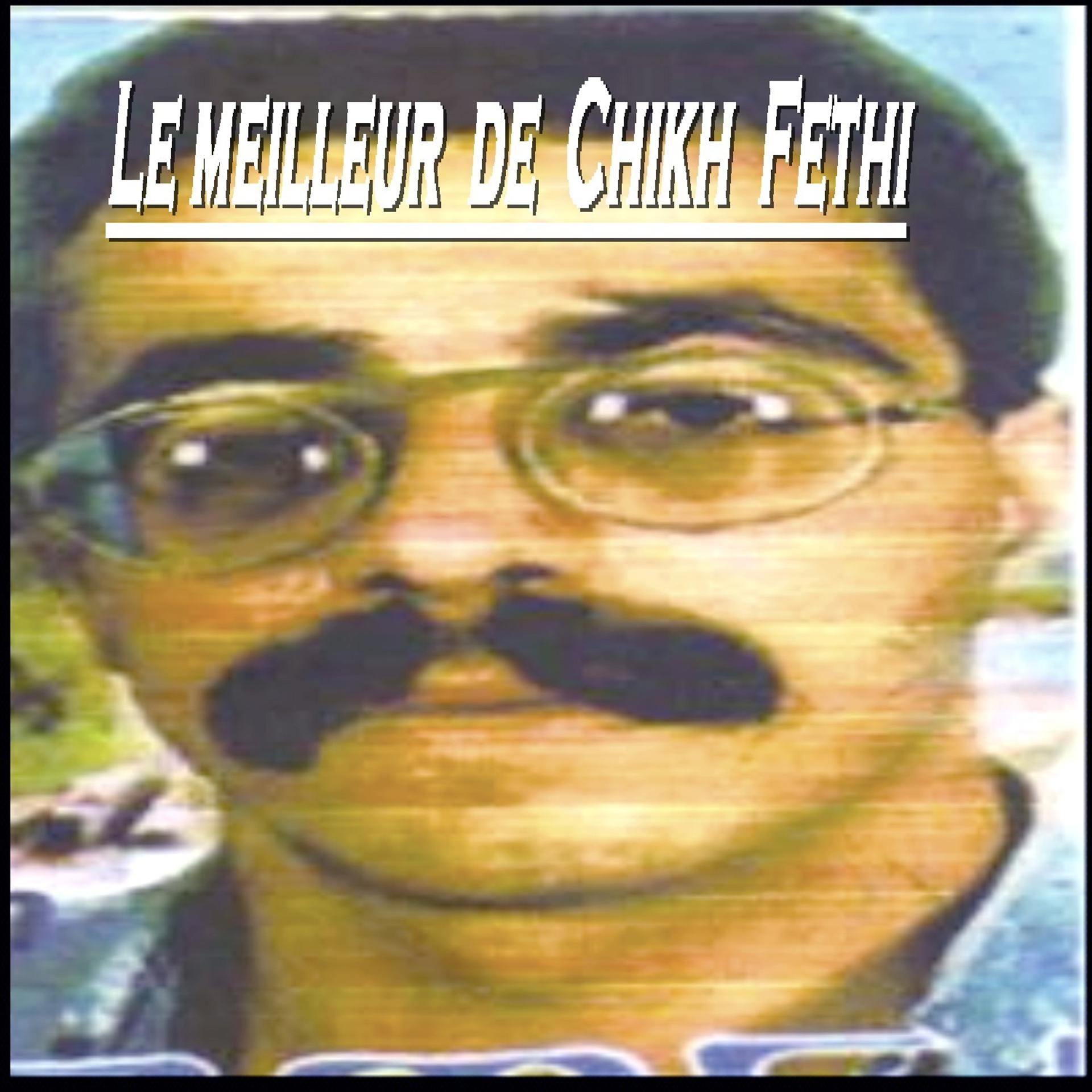 Постер альбома Le meilleur du Cheikh Fethi