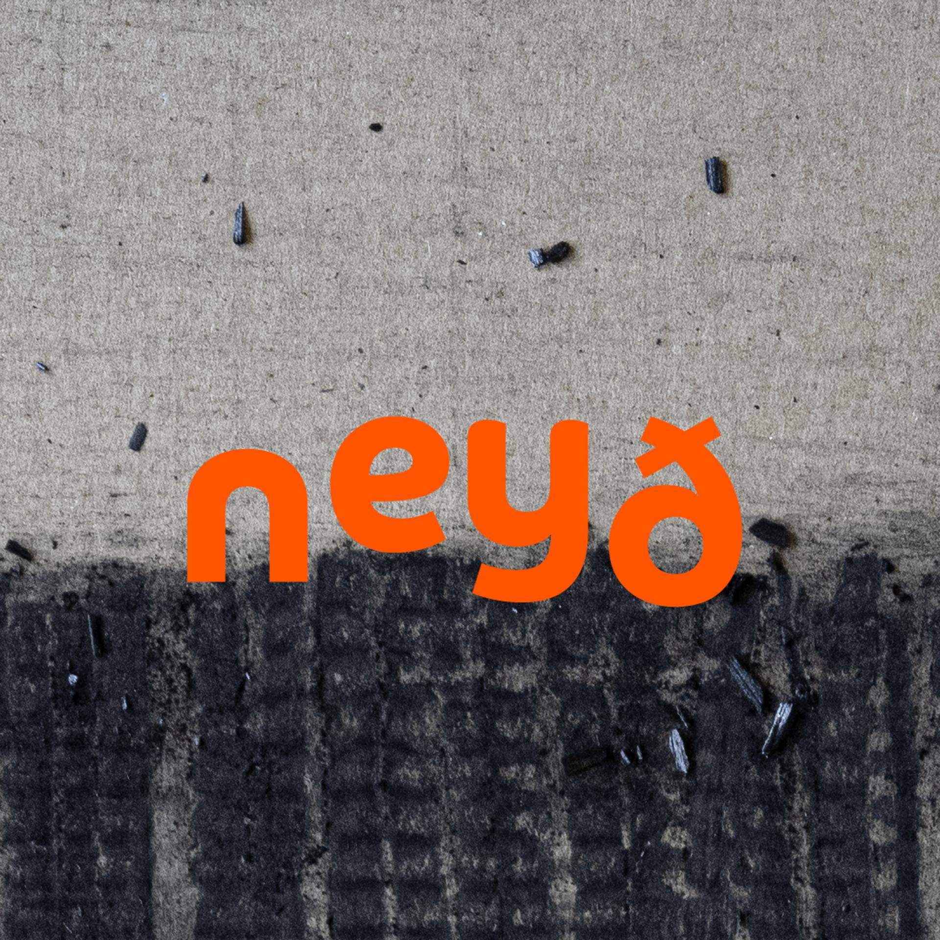 Постер альбома Neyð