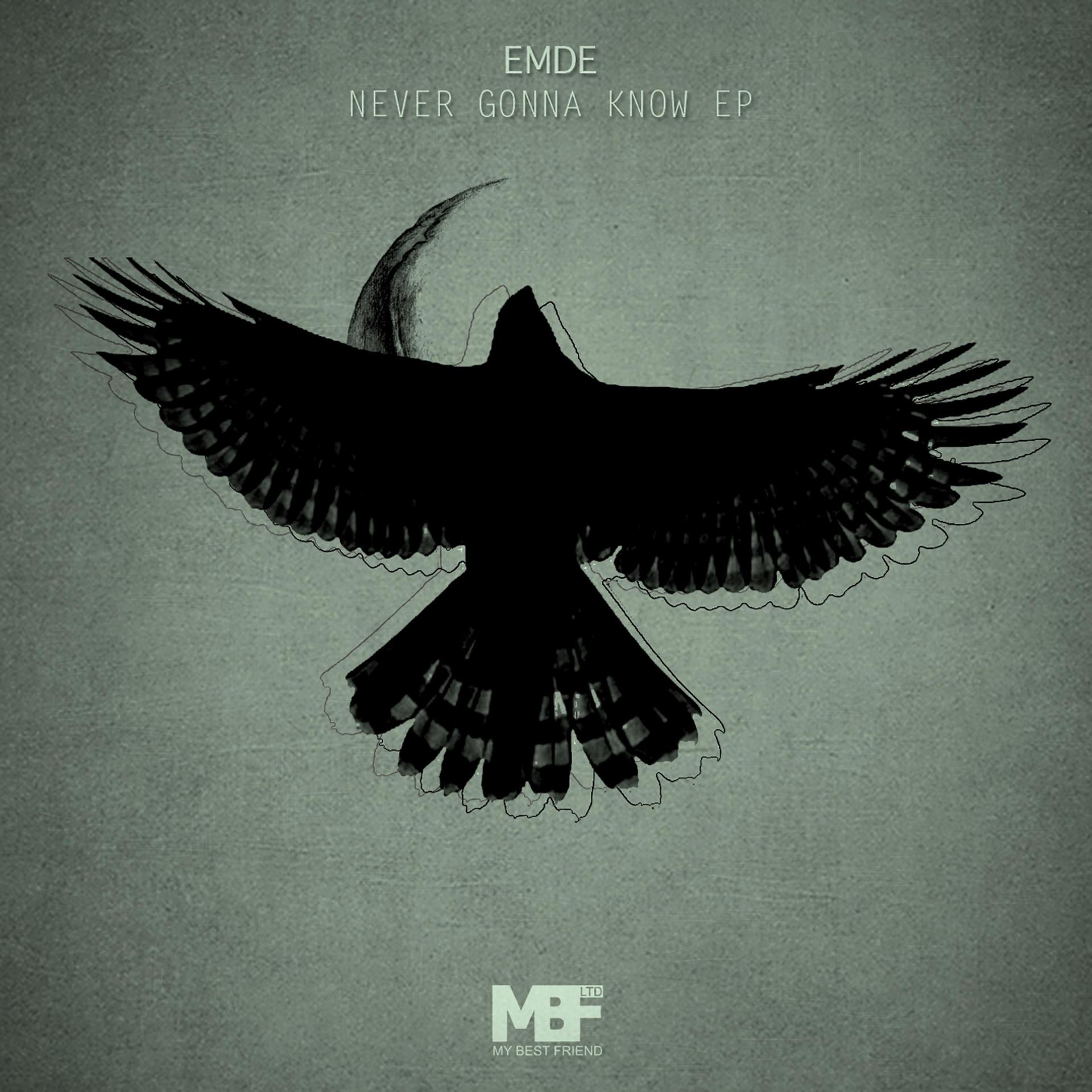 Постер альбома Never Gonna Know - EP
