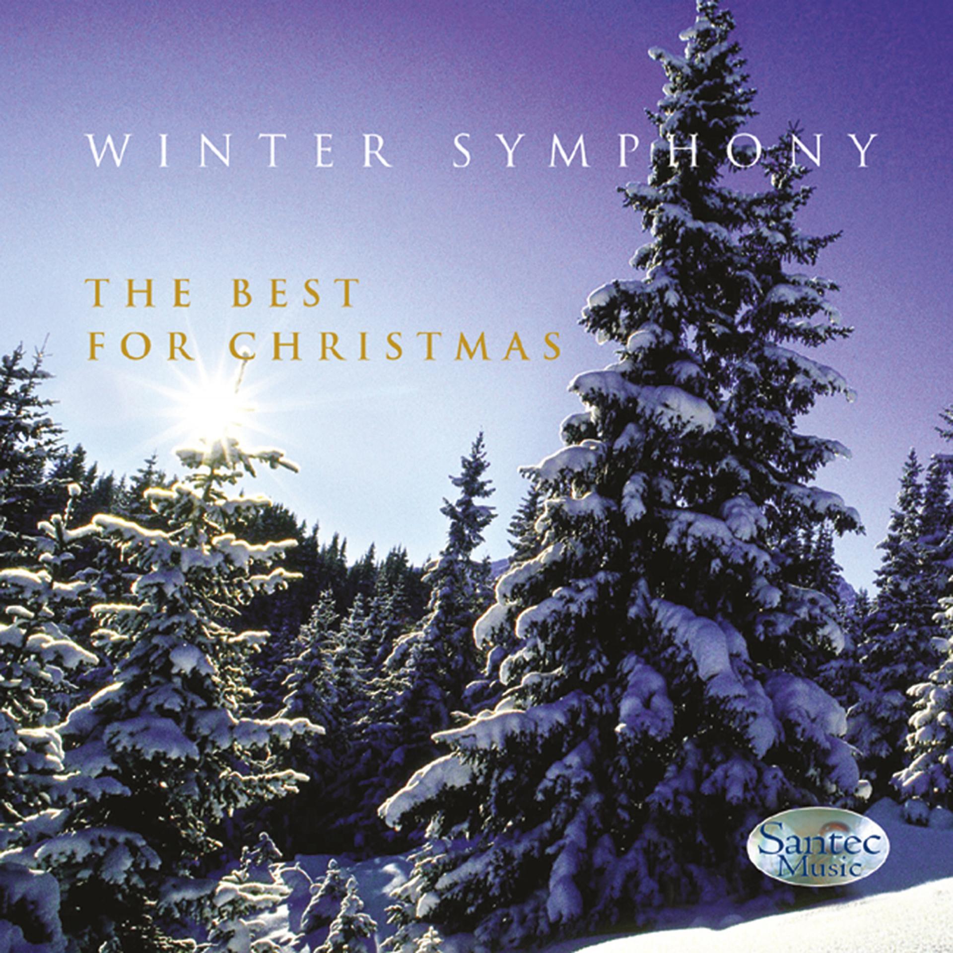Постер альбома Winter Symphony
