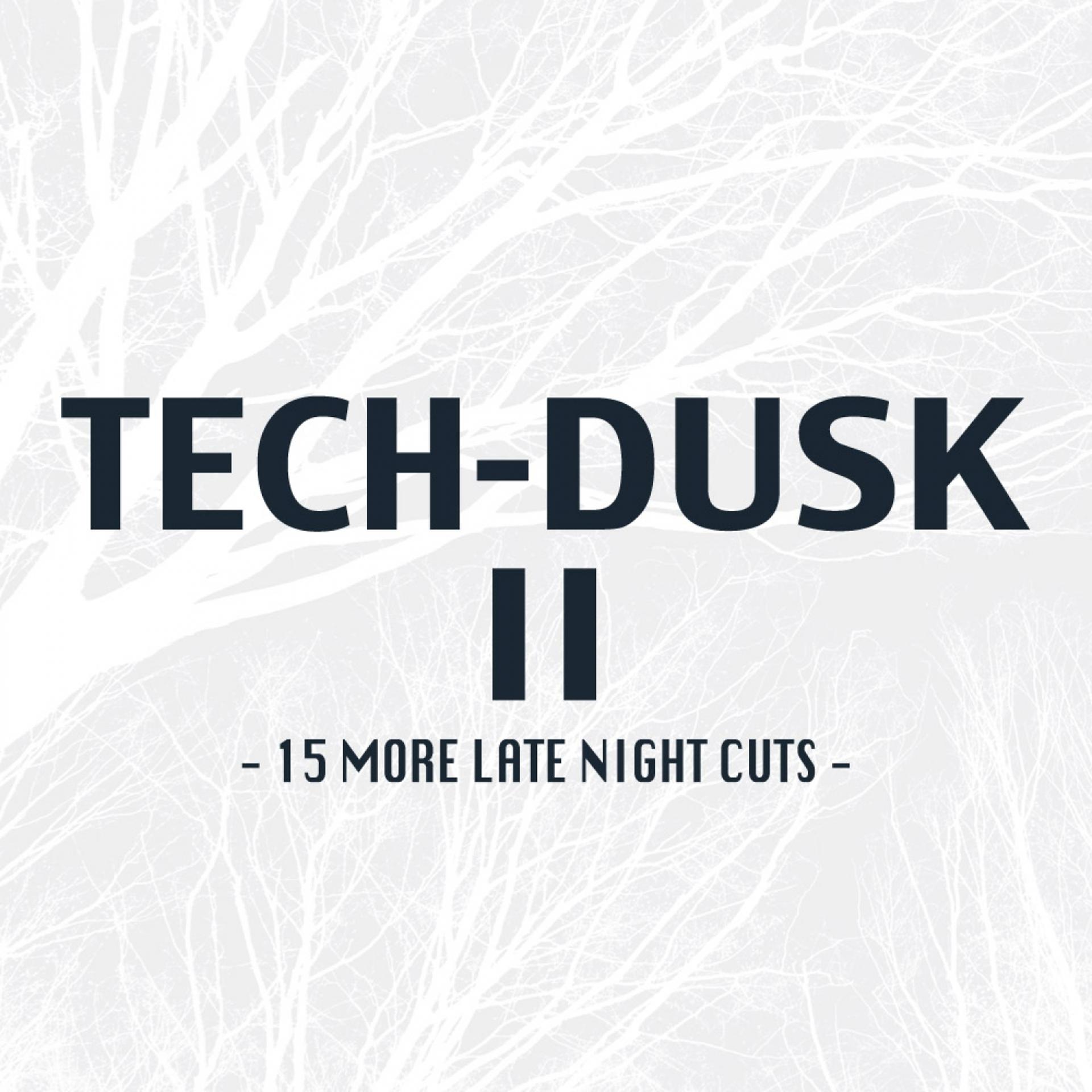 Постер альбома Tech-Dusk, Vol. 2: 15 More Late Night Cuts