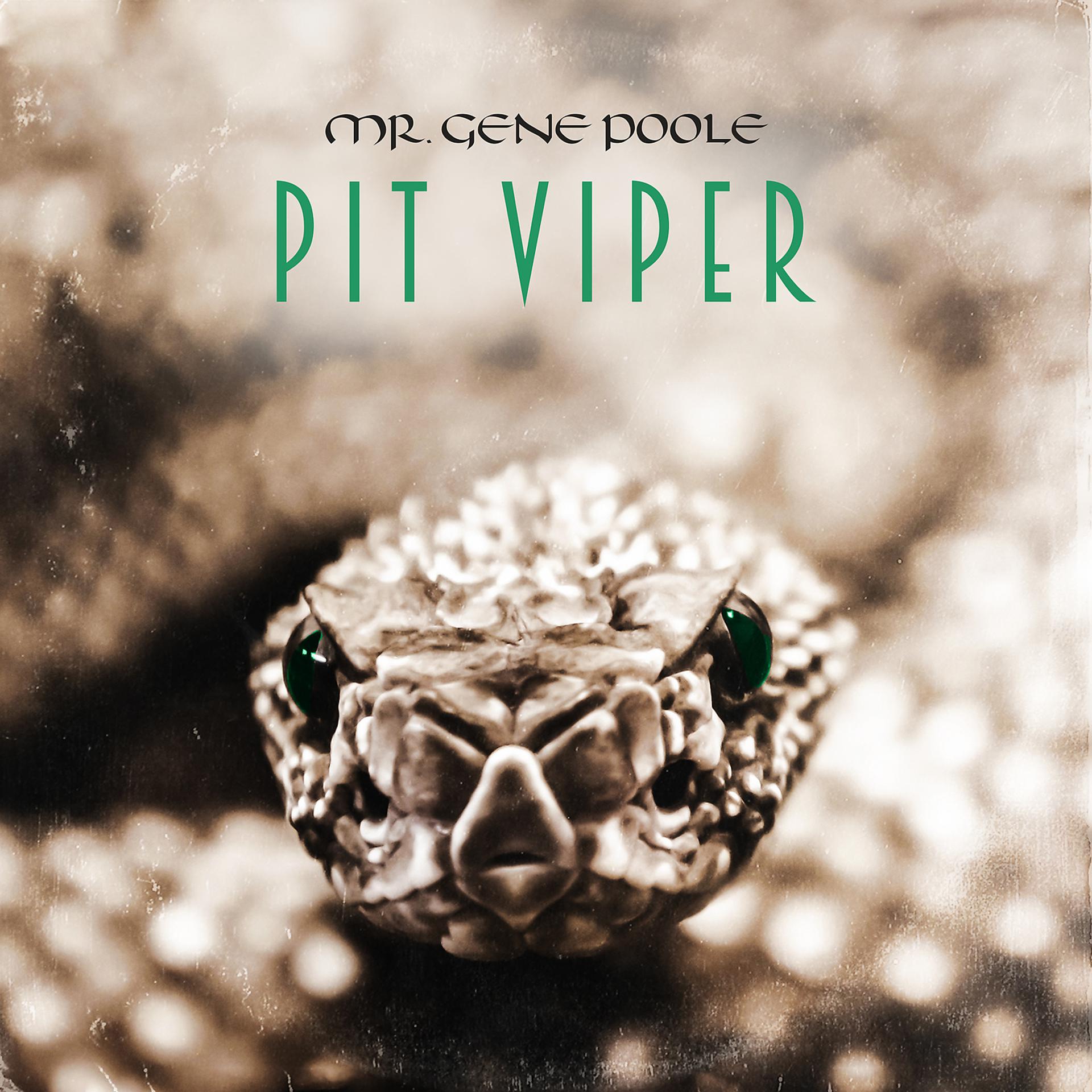 Постер альбома Pit Viper