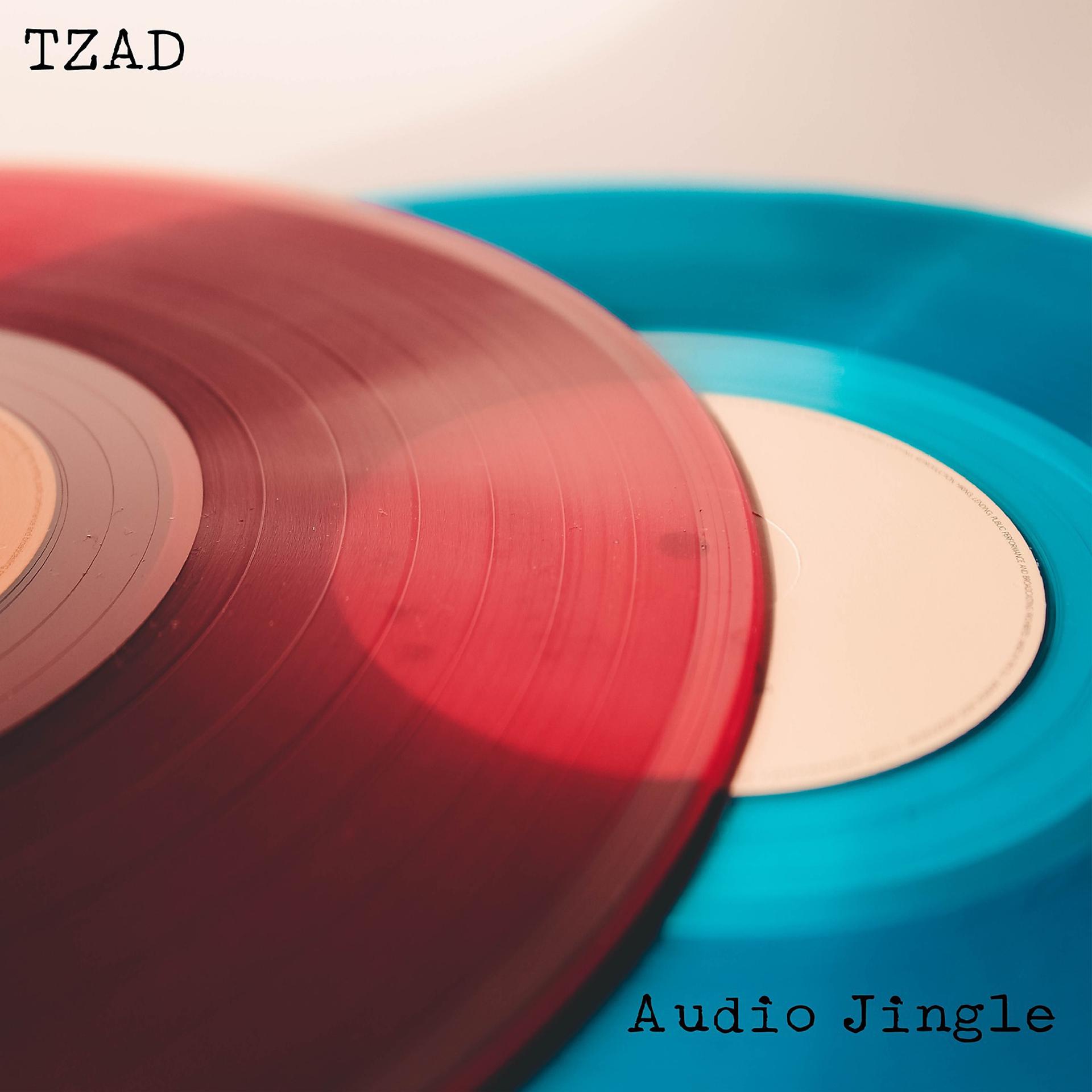 Постер альбома Audio Jingle