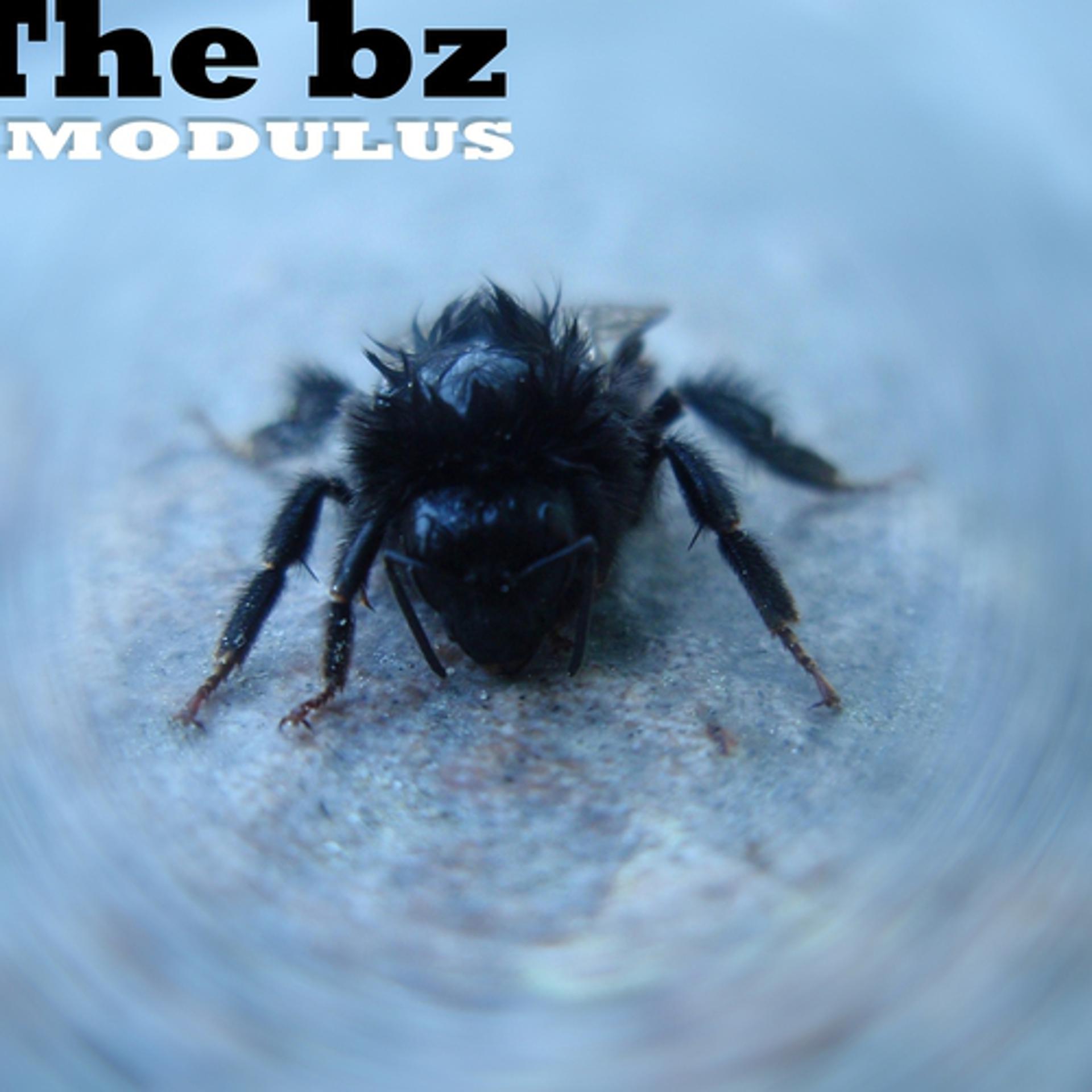 Постер альбома The Bz