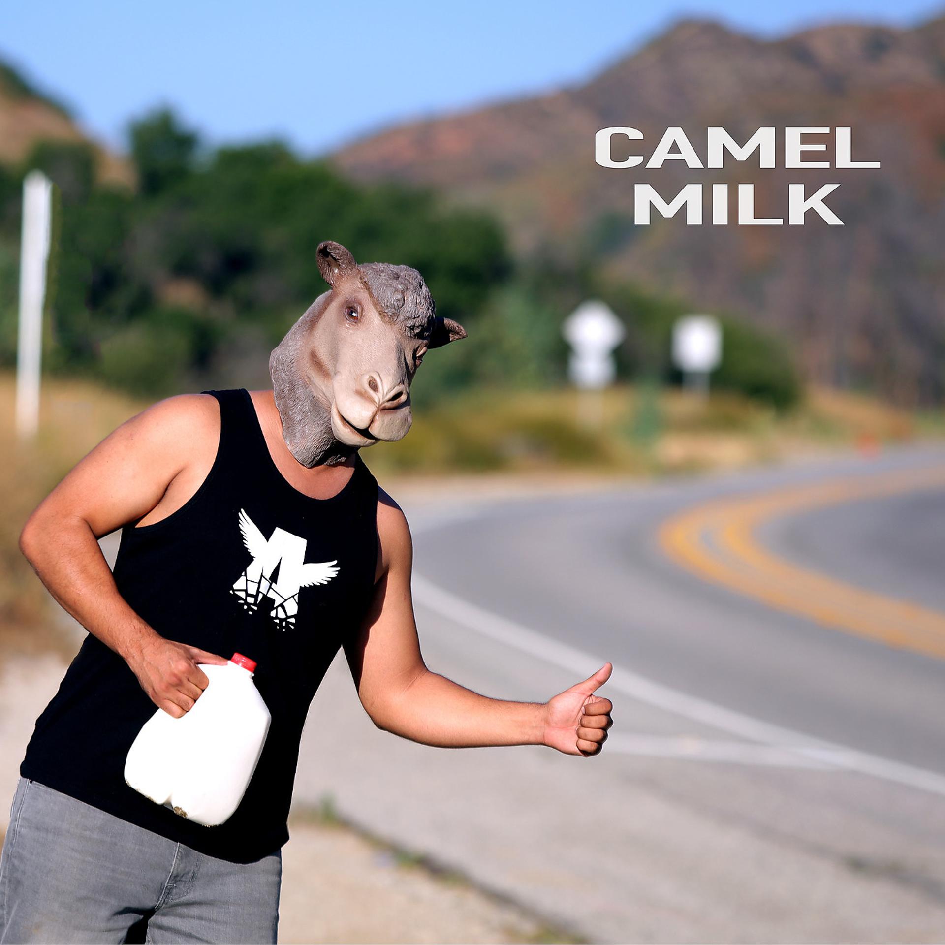 Постер альбома Camel Milk