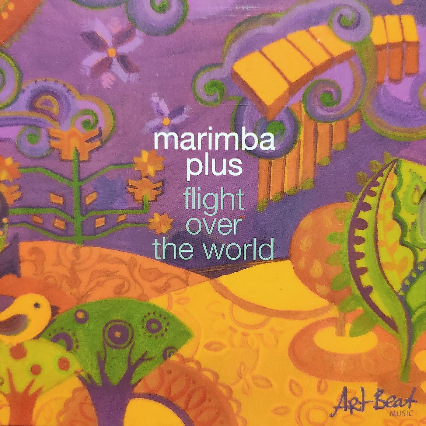 Постер альбома Flight over the World