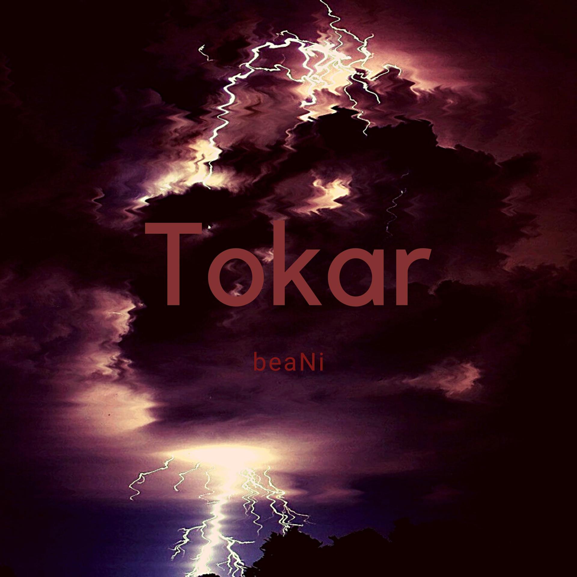 Постер альбома Tokar