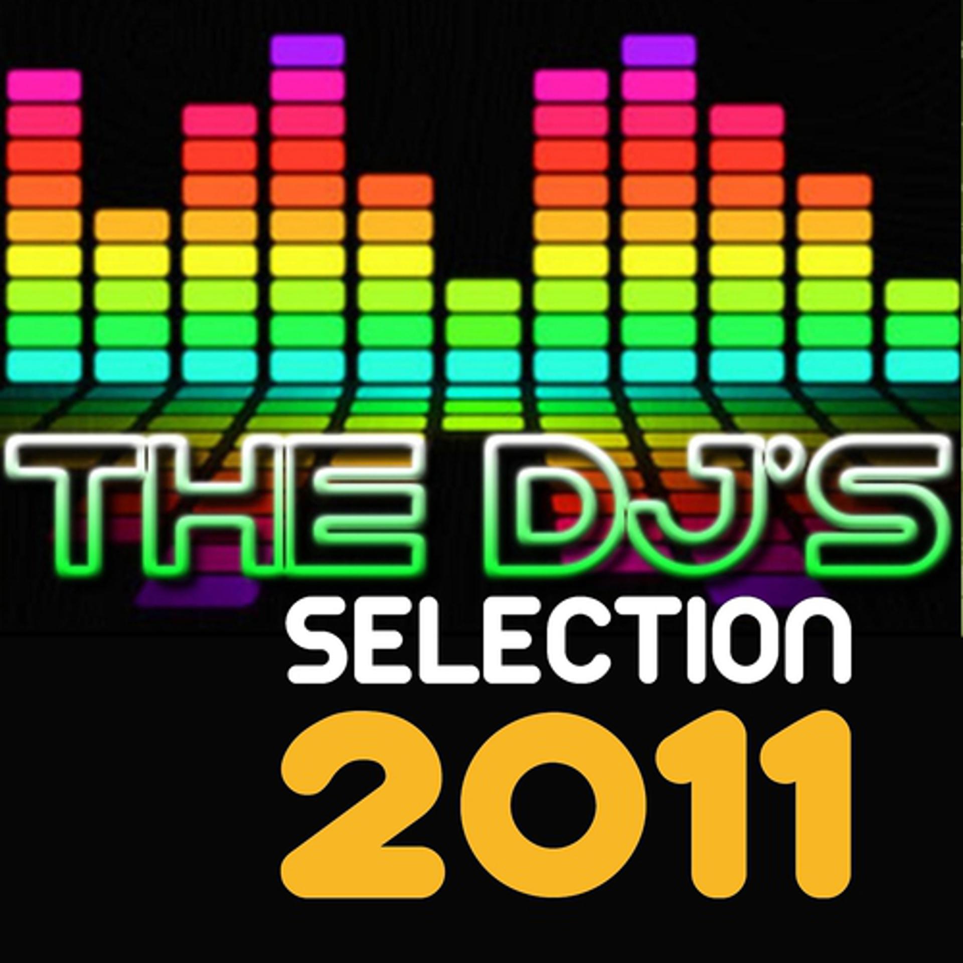 Постер альбома The DJ's Selection 2011