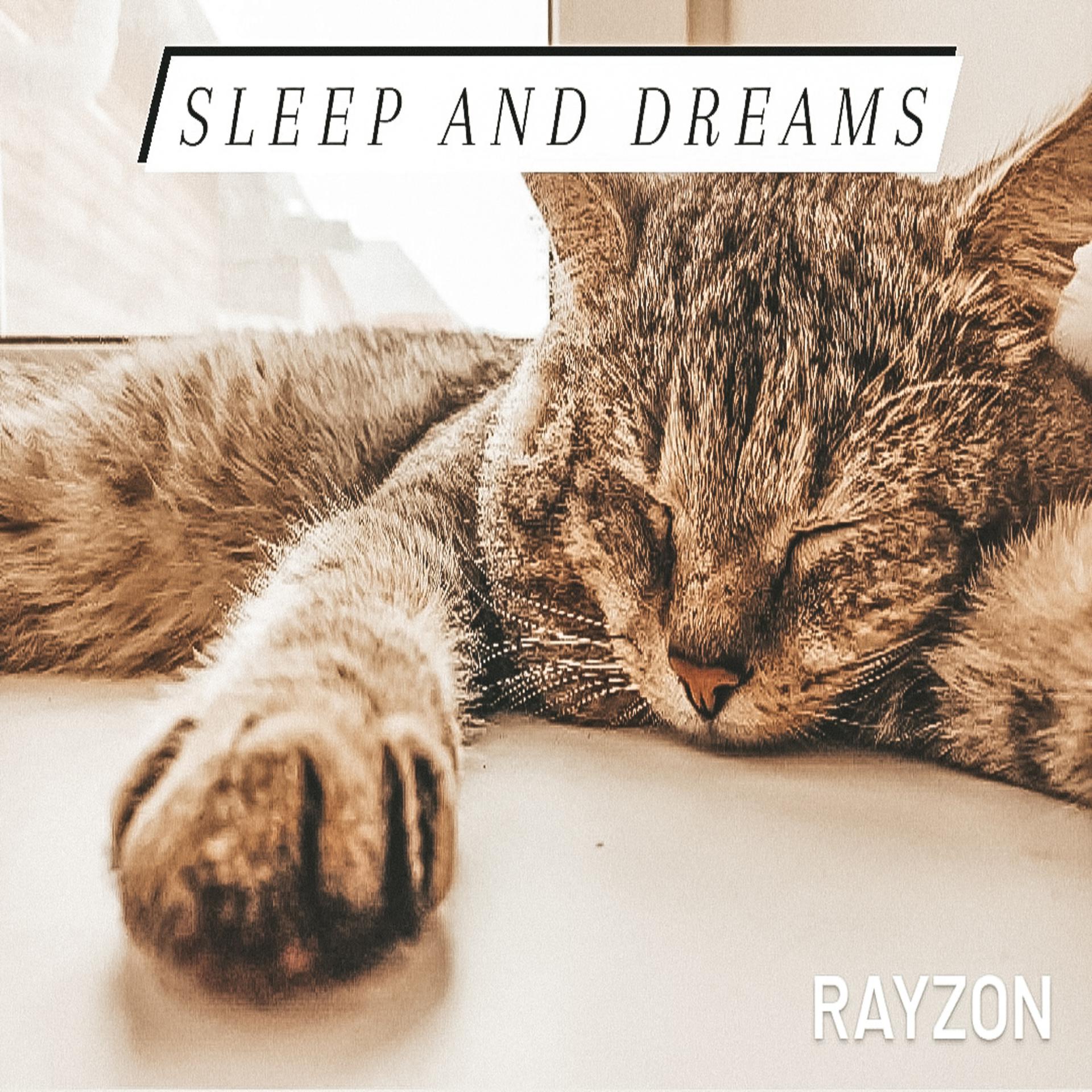 Постер альбома Sleep and Dreams
