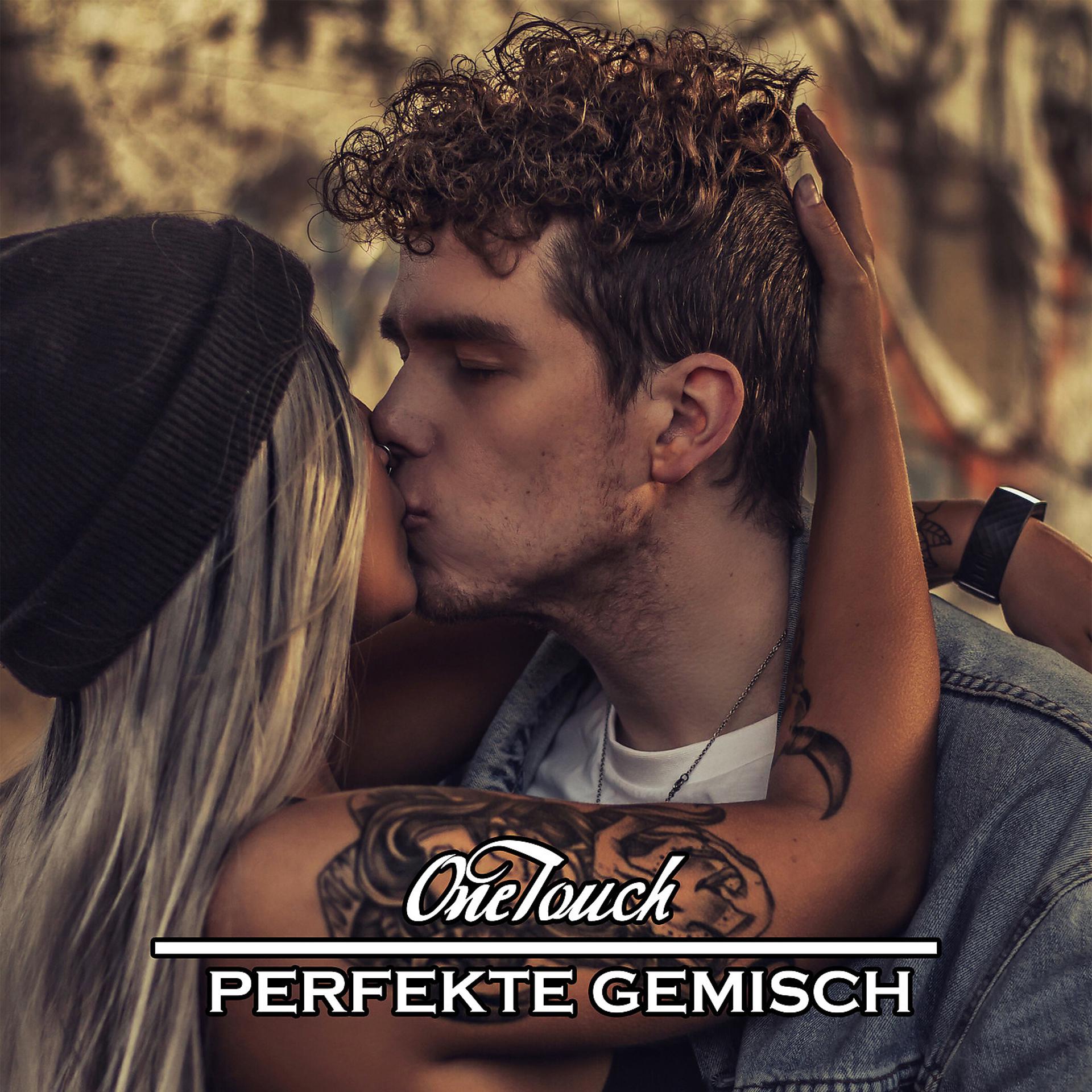 Постер альбома Perfekte Gemisch