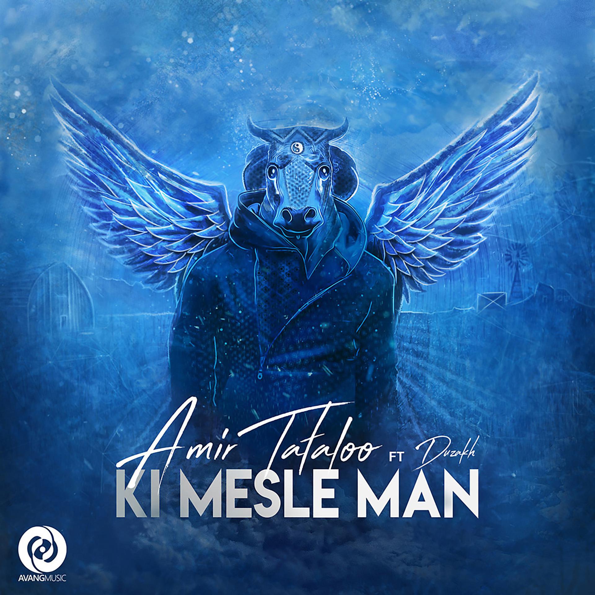 Постер альбома Ki Mesle Man