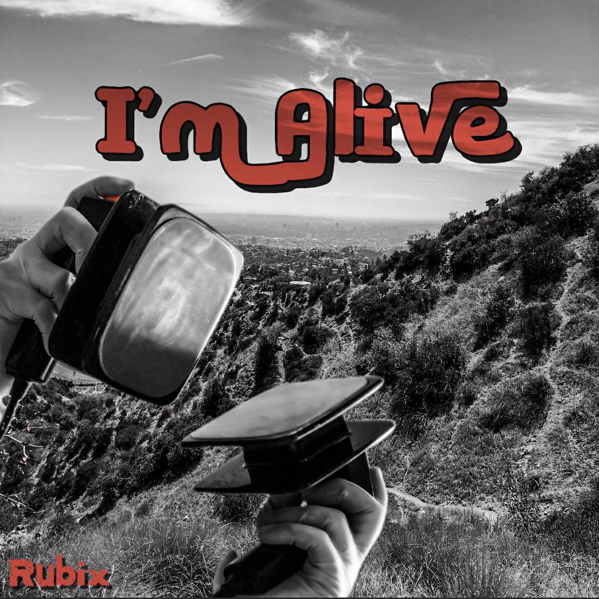 Постер альбома I'm Alive