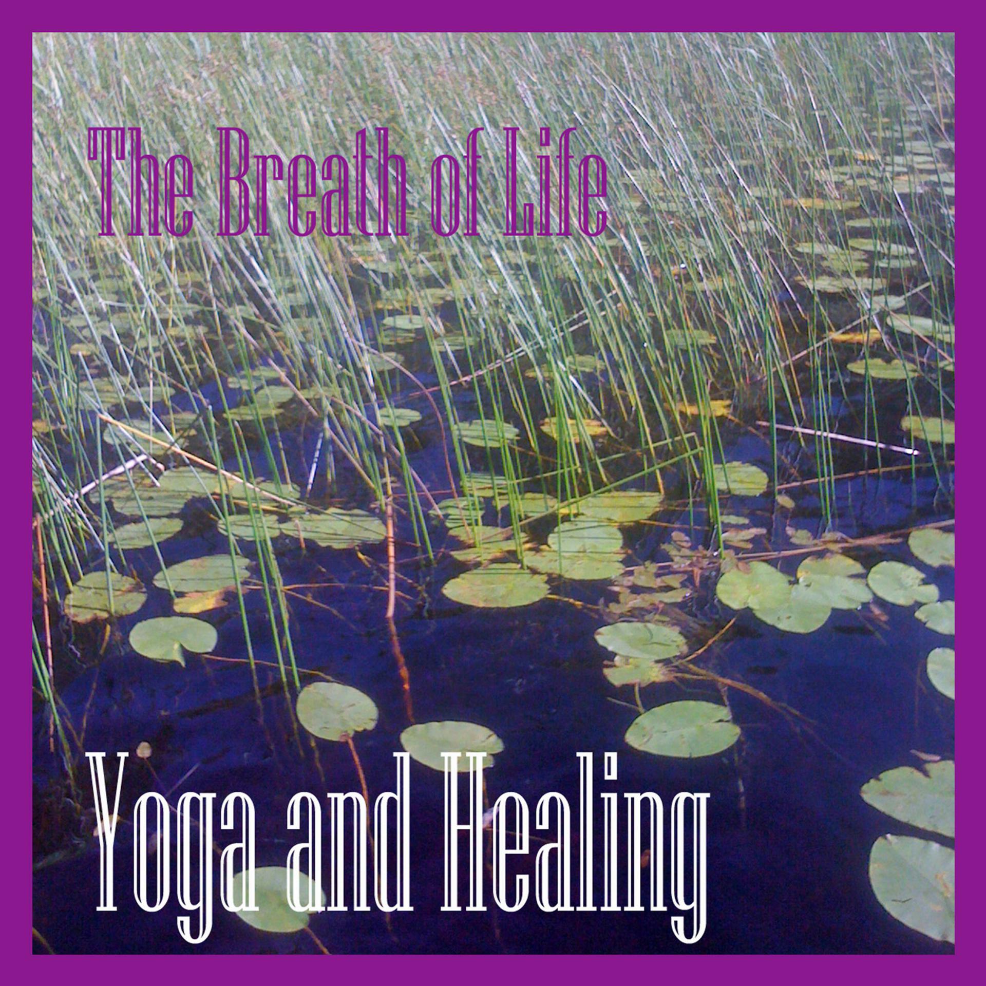 Постер альбома Yoga and Healing