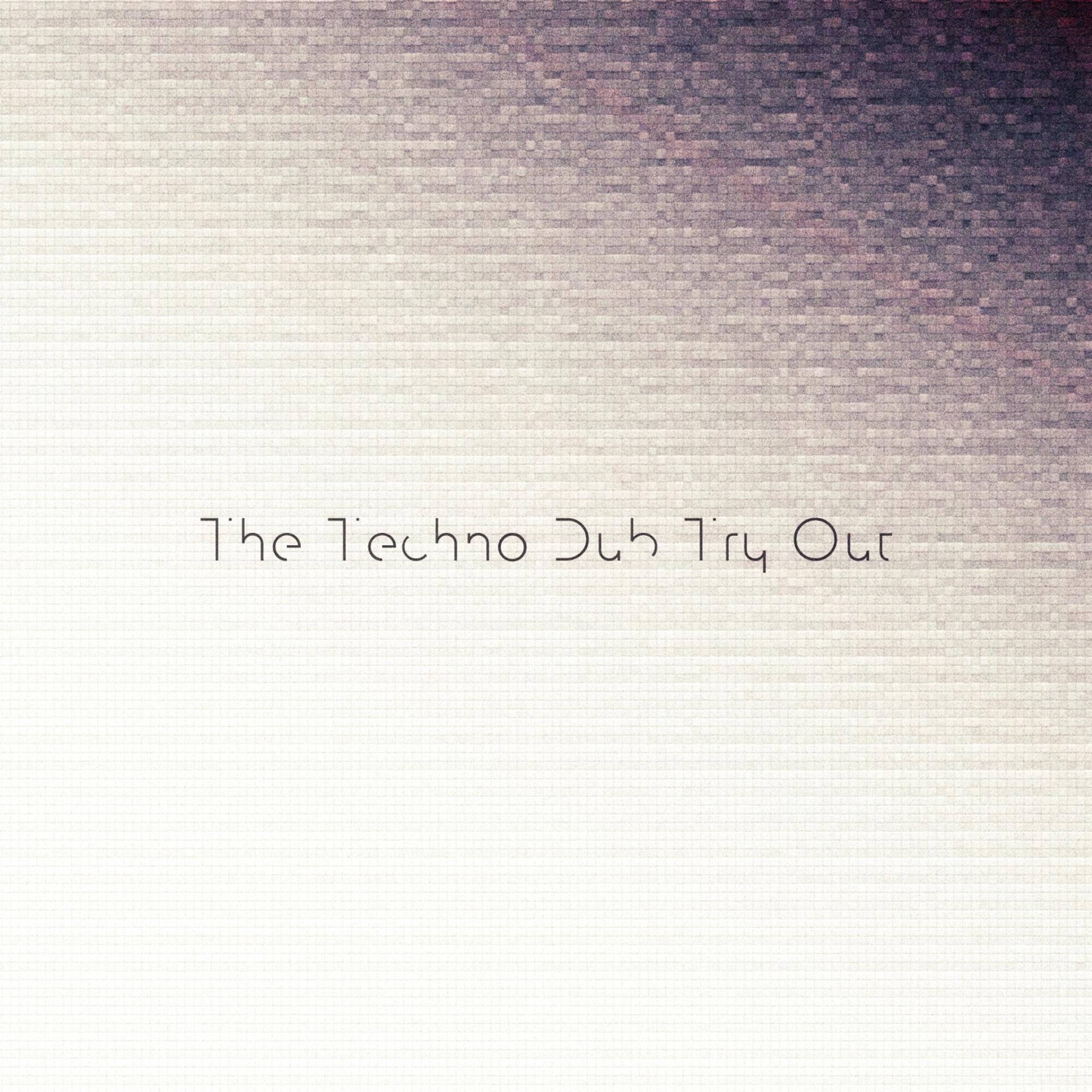 Постер альбома The Techno Dub Try Out