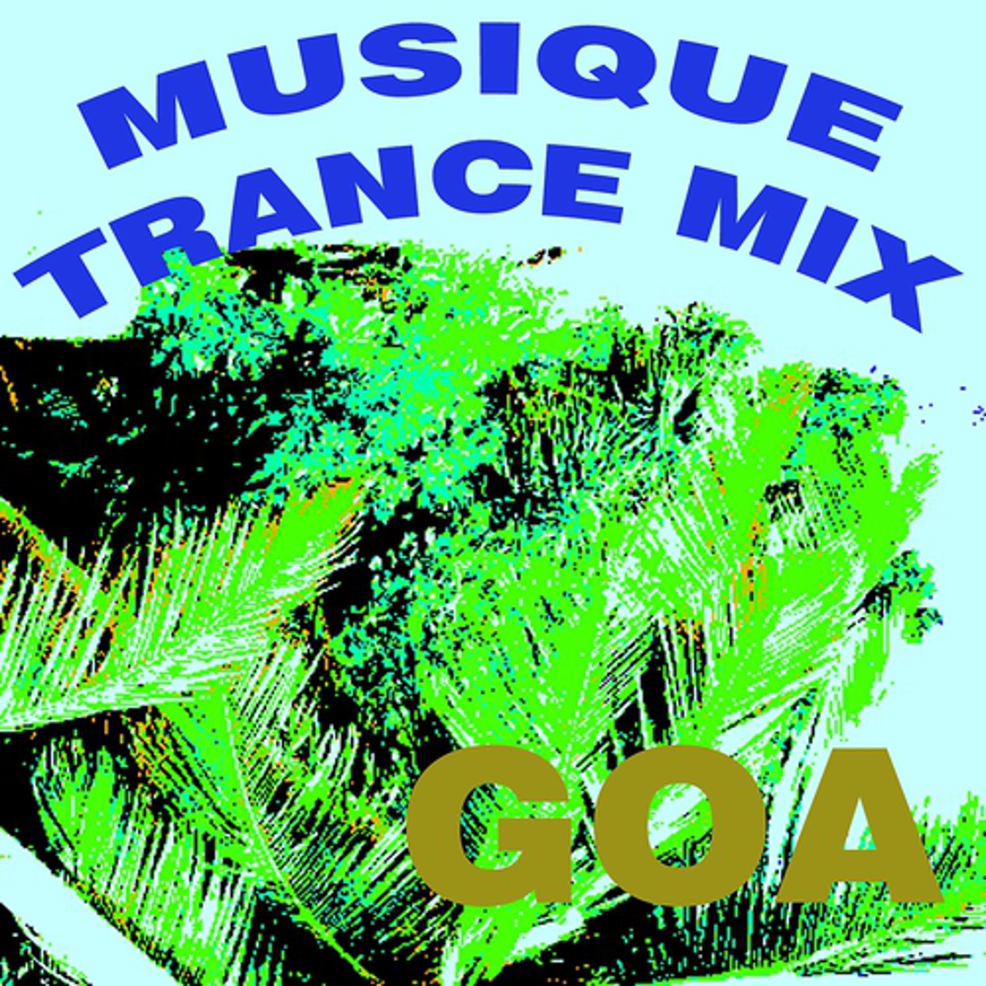Постер альбома Musique trance mix