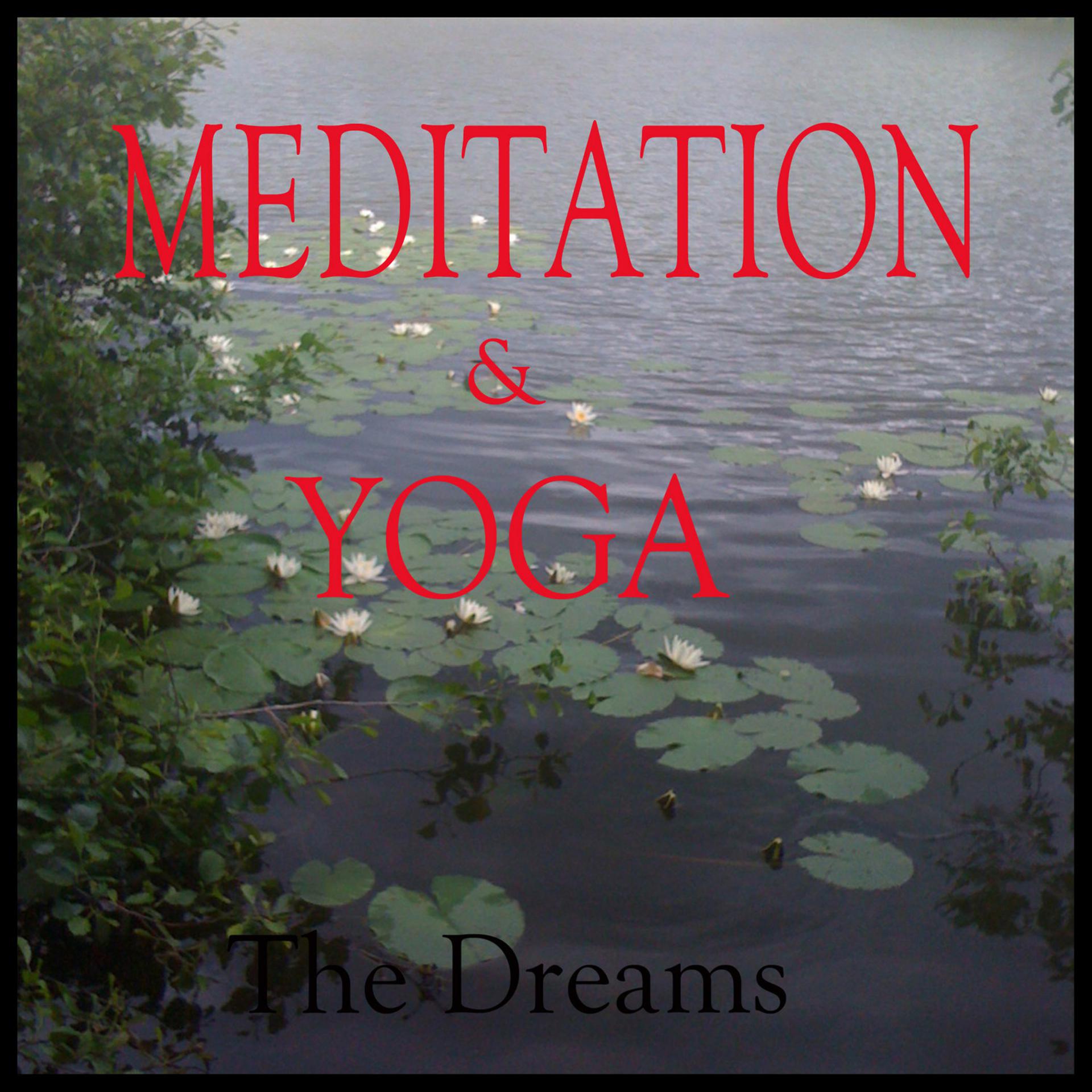Постер альбома Meditation and Yoga