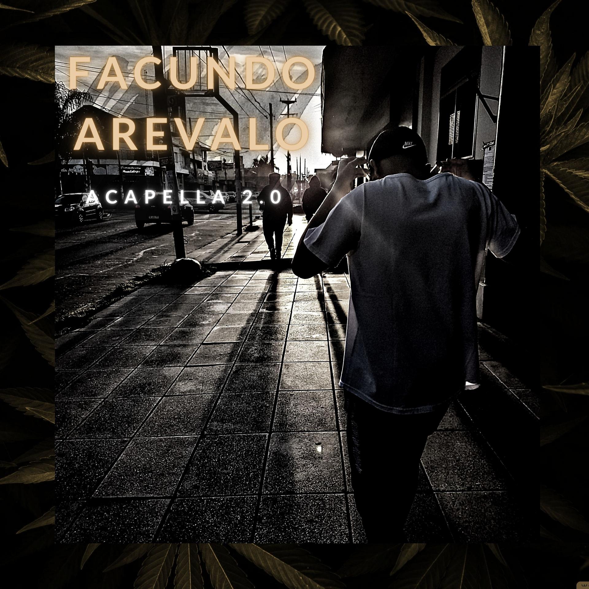 Постер альбома Acapella 2.0
