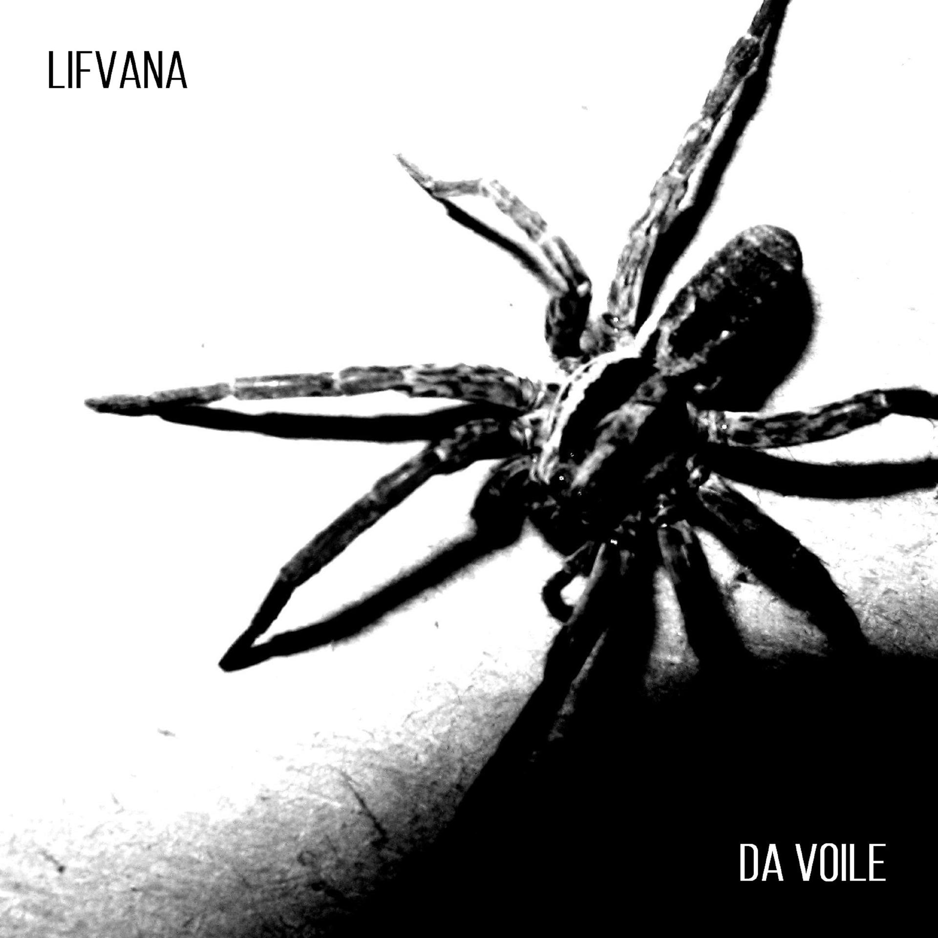 Постер альбома Lifvana